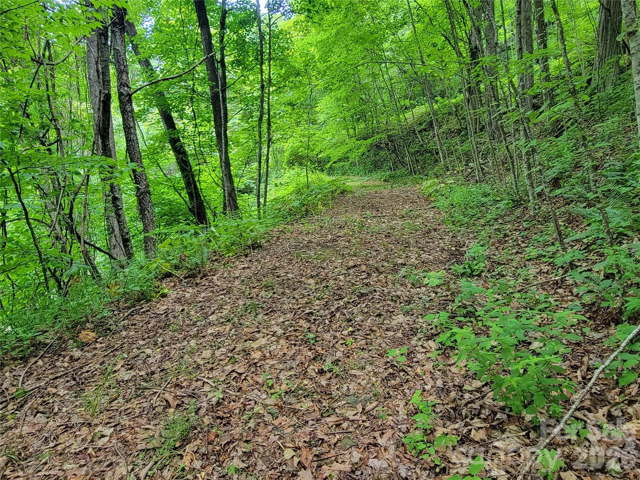 75 Rimrock Ridge I Property Photo 14