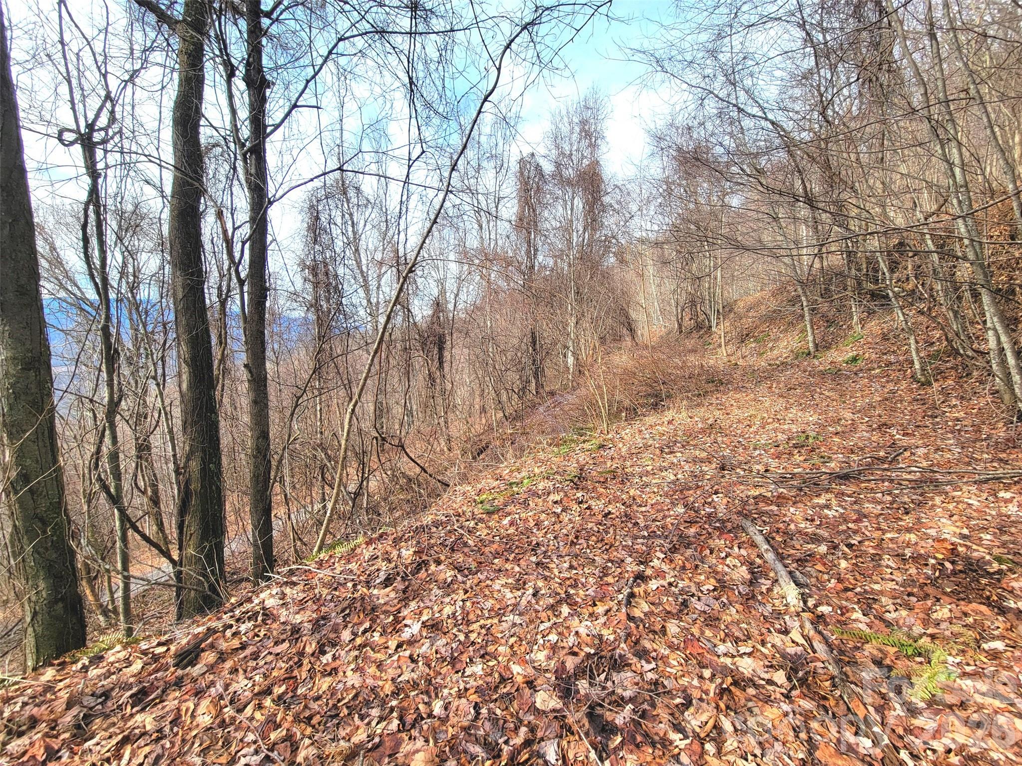 75 Rimrock Ridge I Property Photo 15