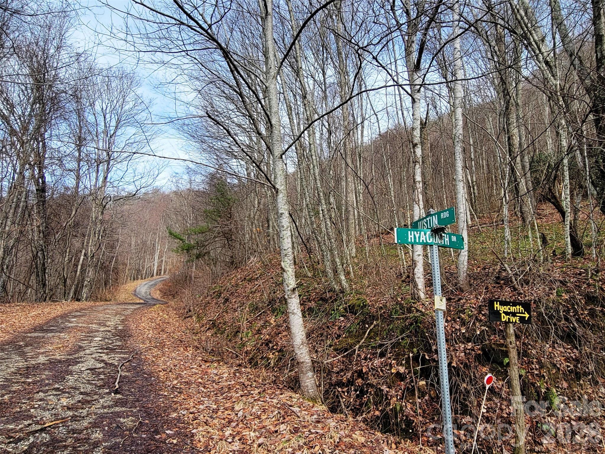 75 Rimrock Ridge I Property Photo 16