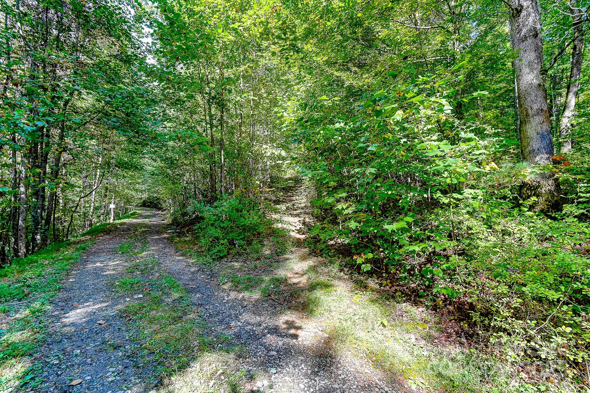 99999 Forest Brook Drive Property Photo 3