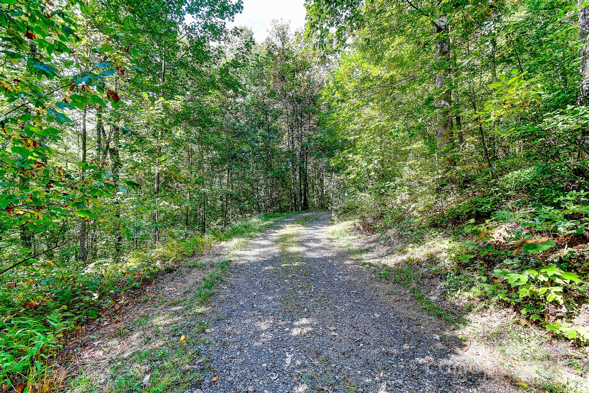 99999 Forest Brook Drive Property Photo 4