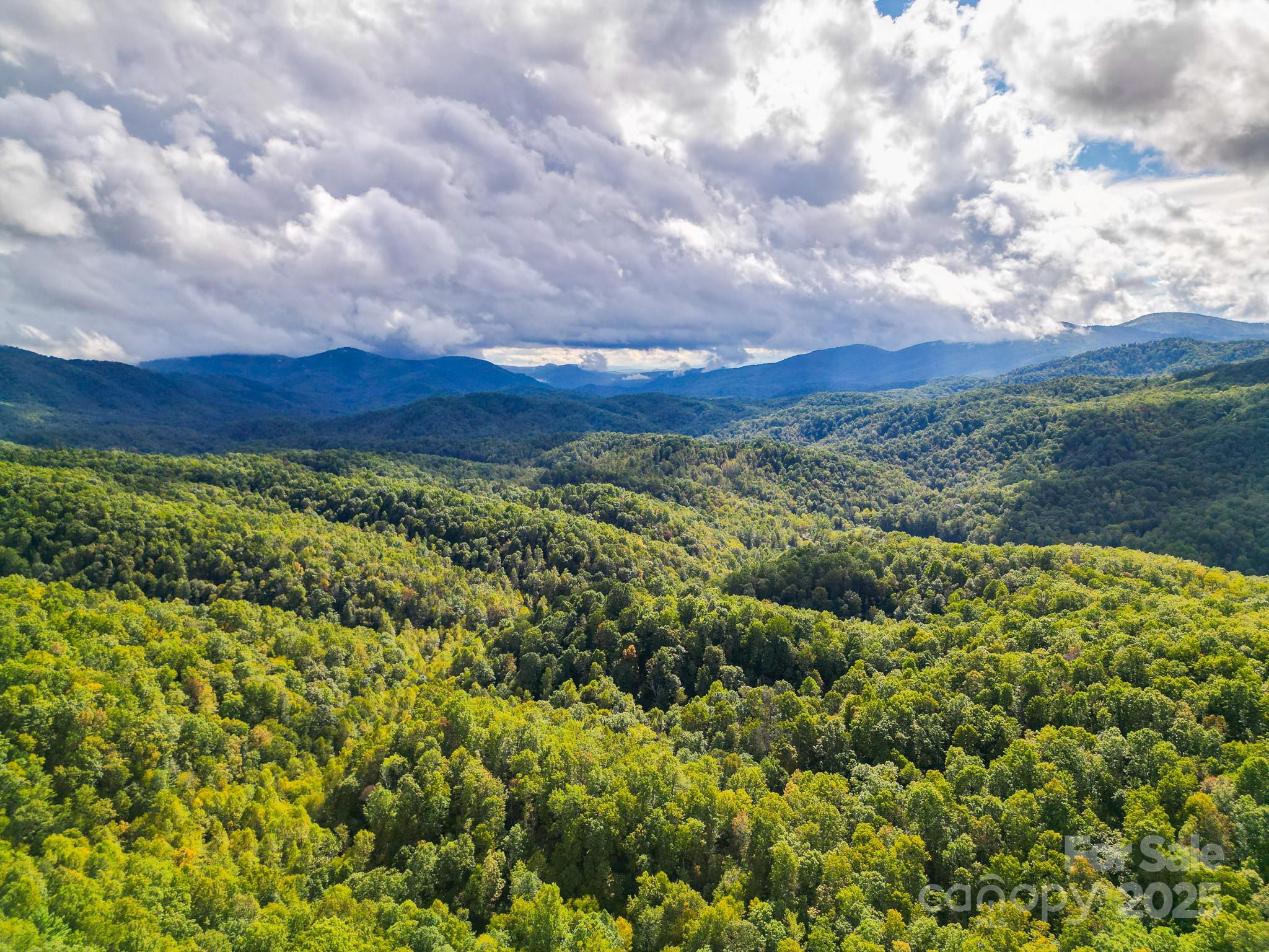 99999 Forest Brook Drive Property Photo 6