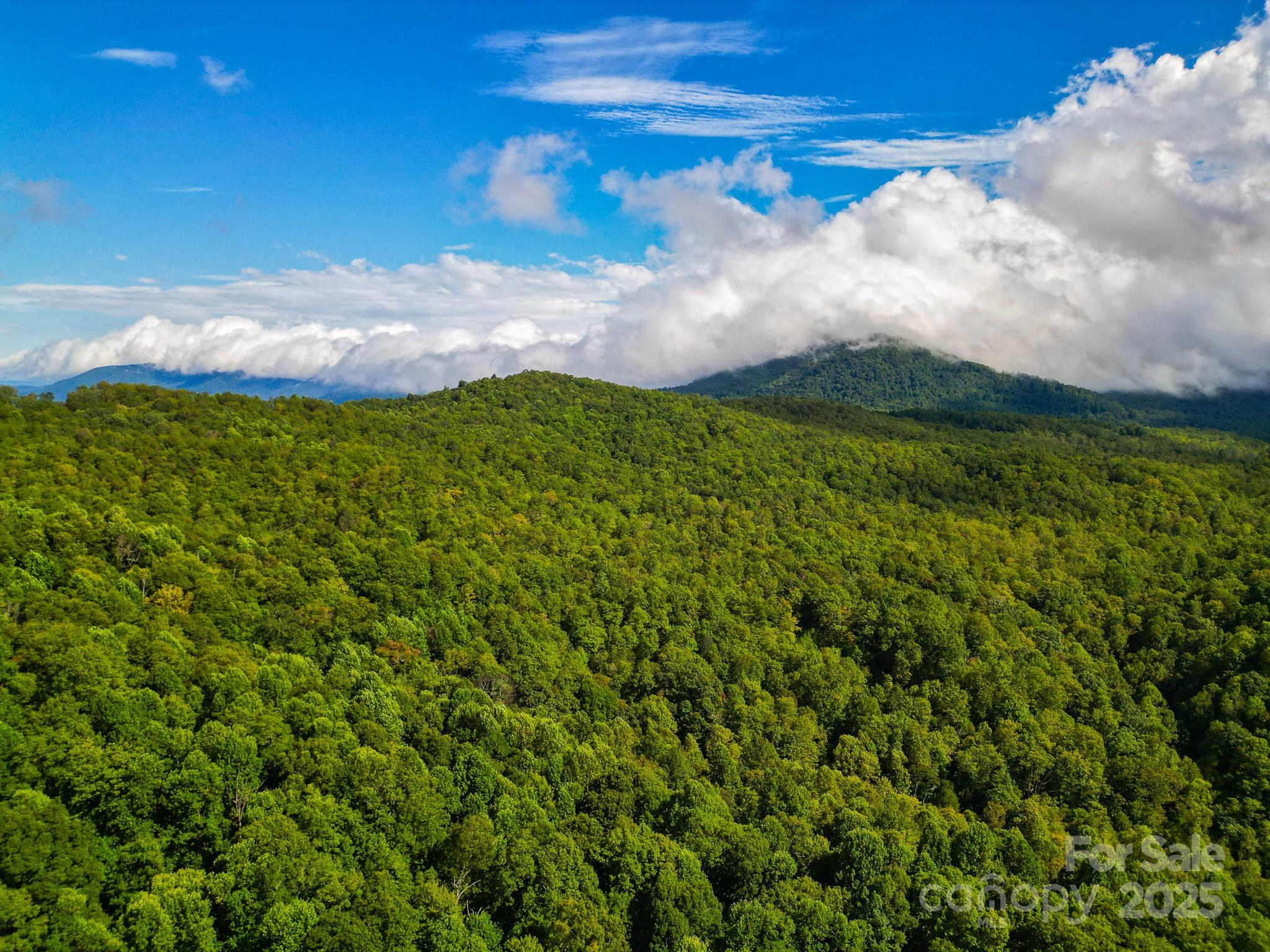 99999 Forest Brook Drive Property Photo 7