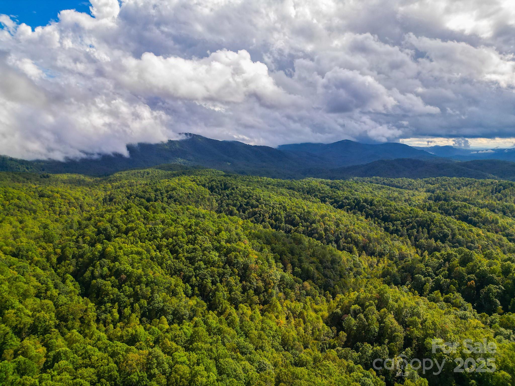 99999 Forest Brook Drive Property Photo 8