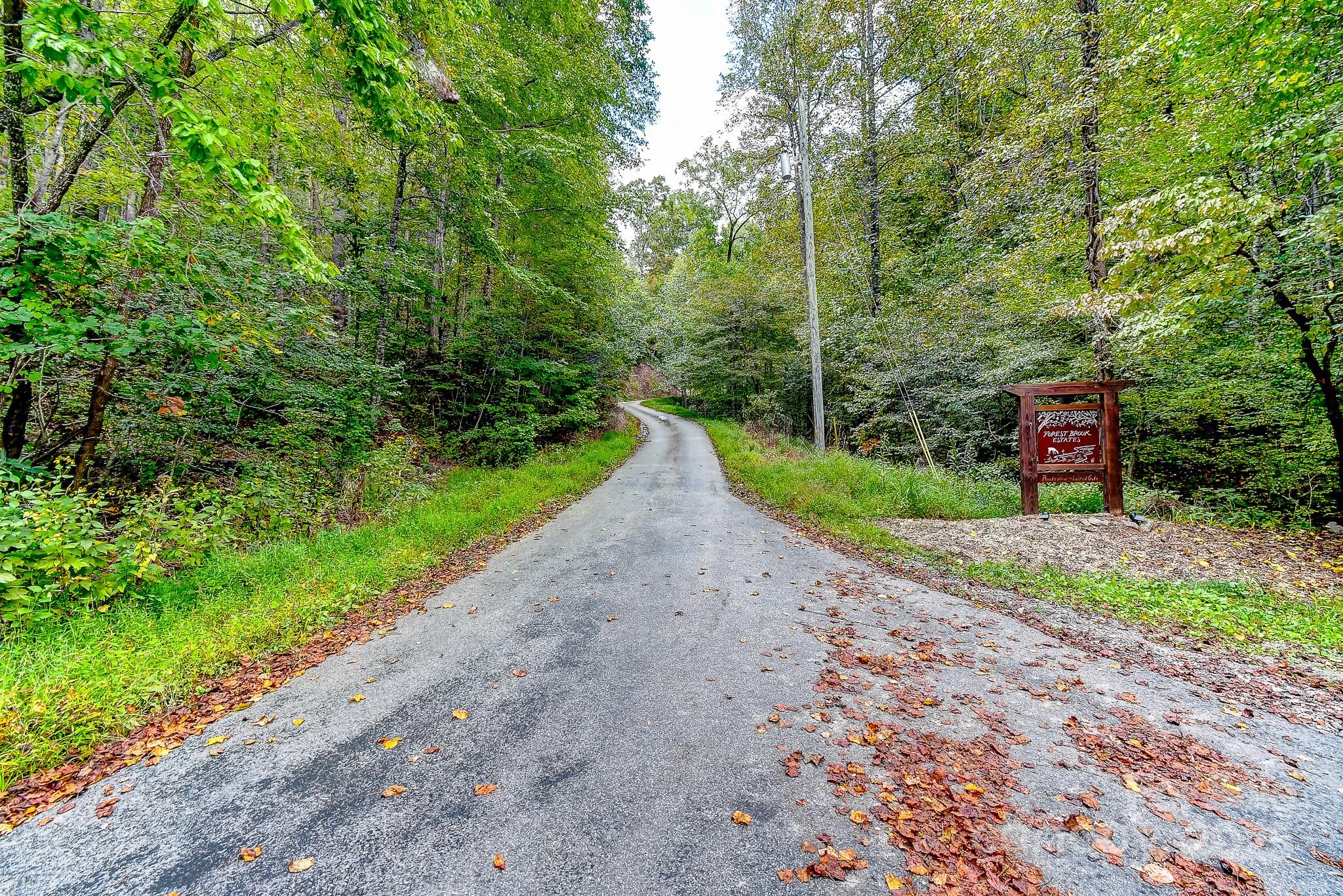 99999 Forest Brook Drive Property Photo 11