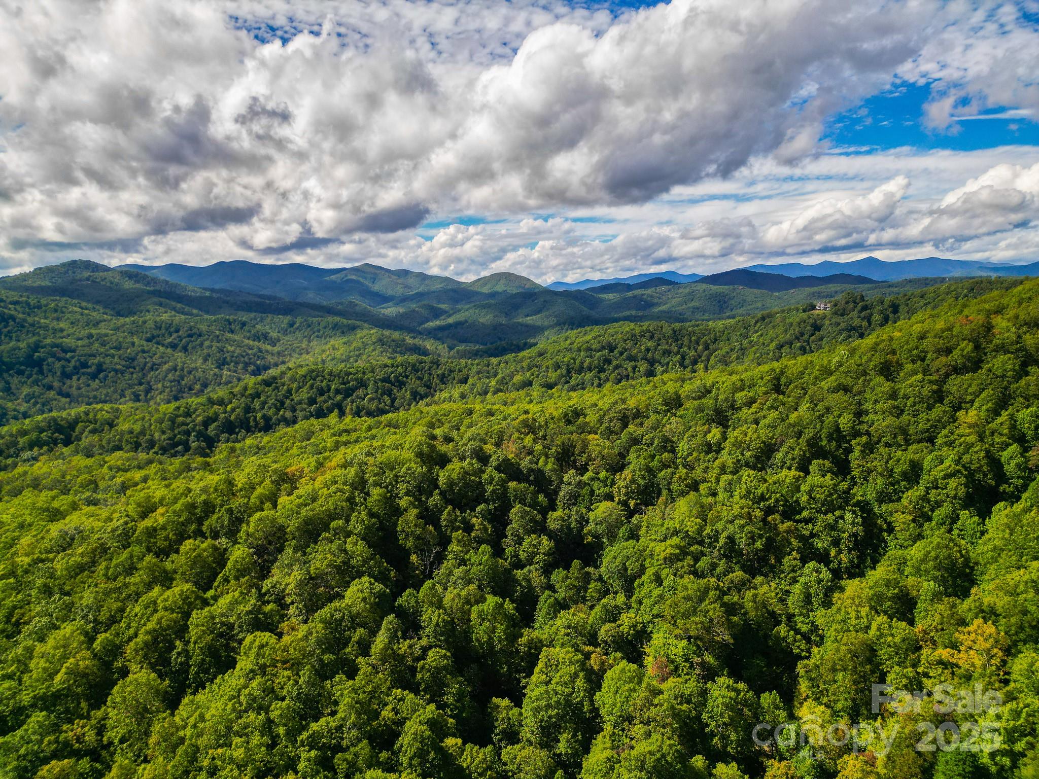 99999 Forest Brook Drive Property Photo 12