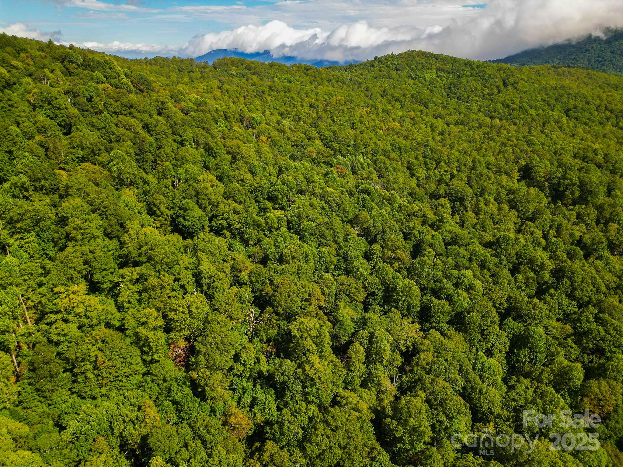 99999 Forest Brook Drive Property Photo 13
