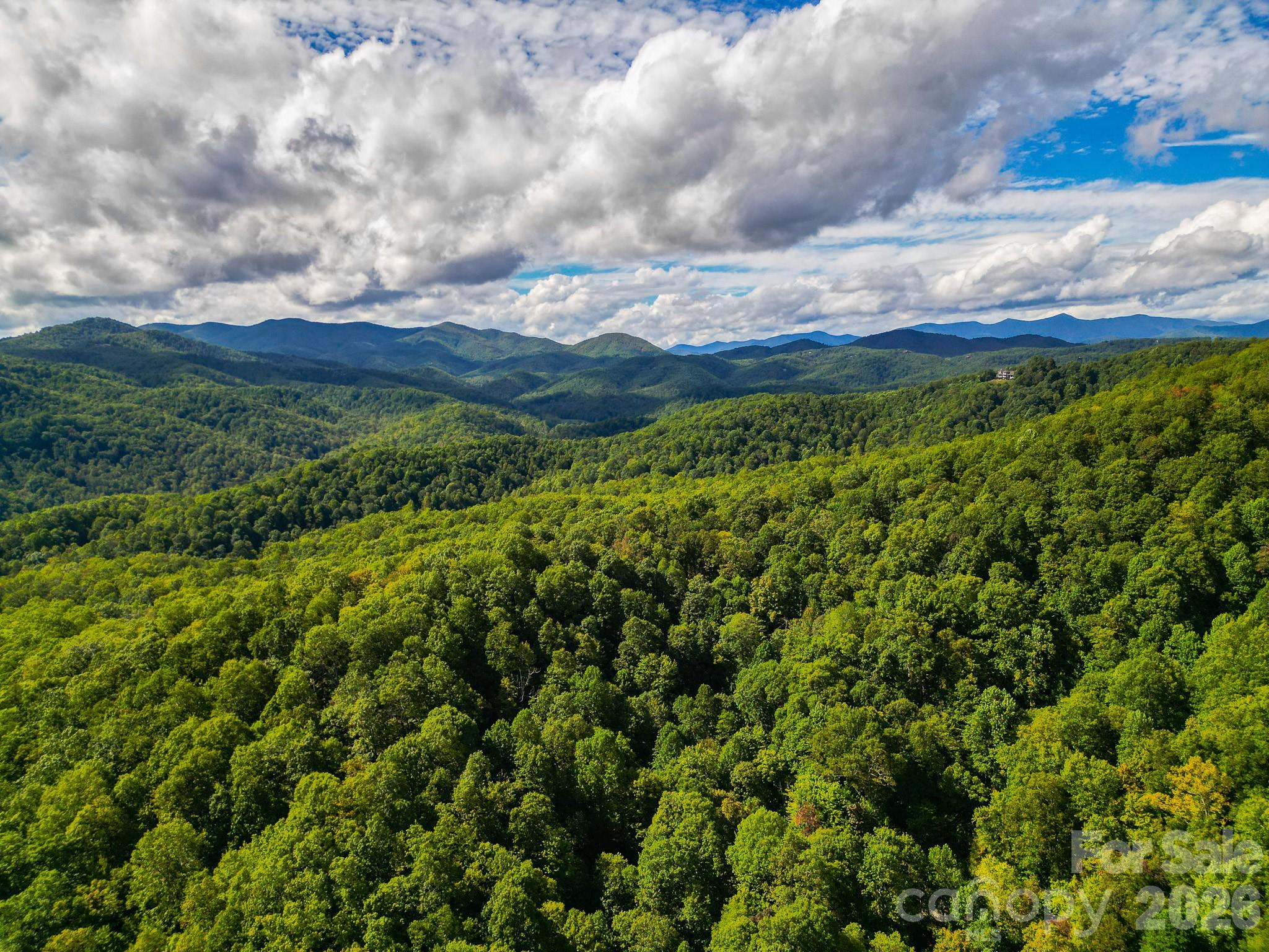 99999 Forest Brook Drive Property Photo 4