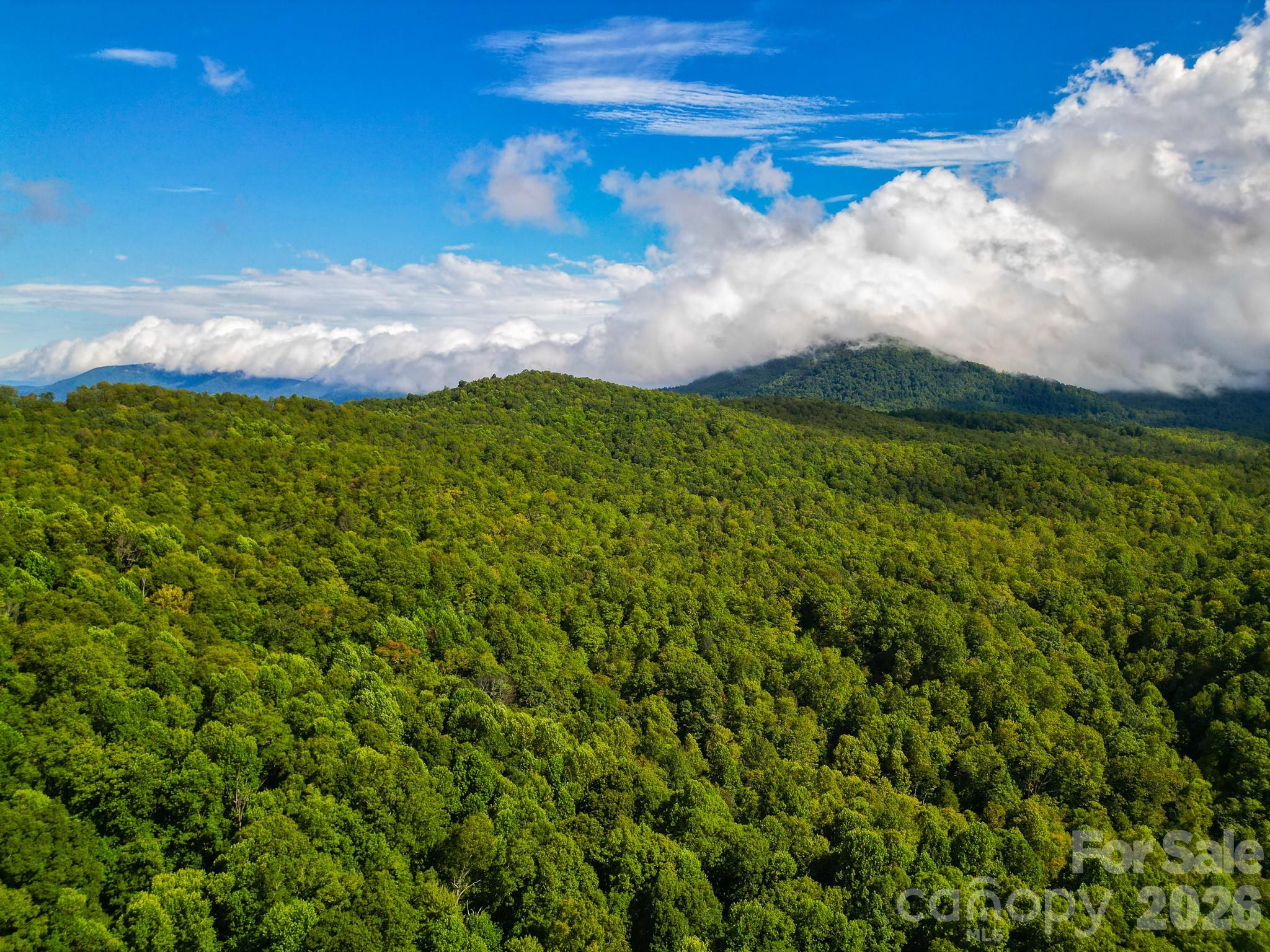 99999 Forest Brook Drive Property Photo 6