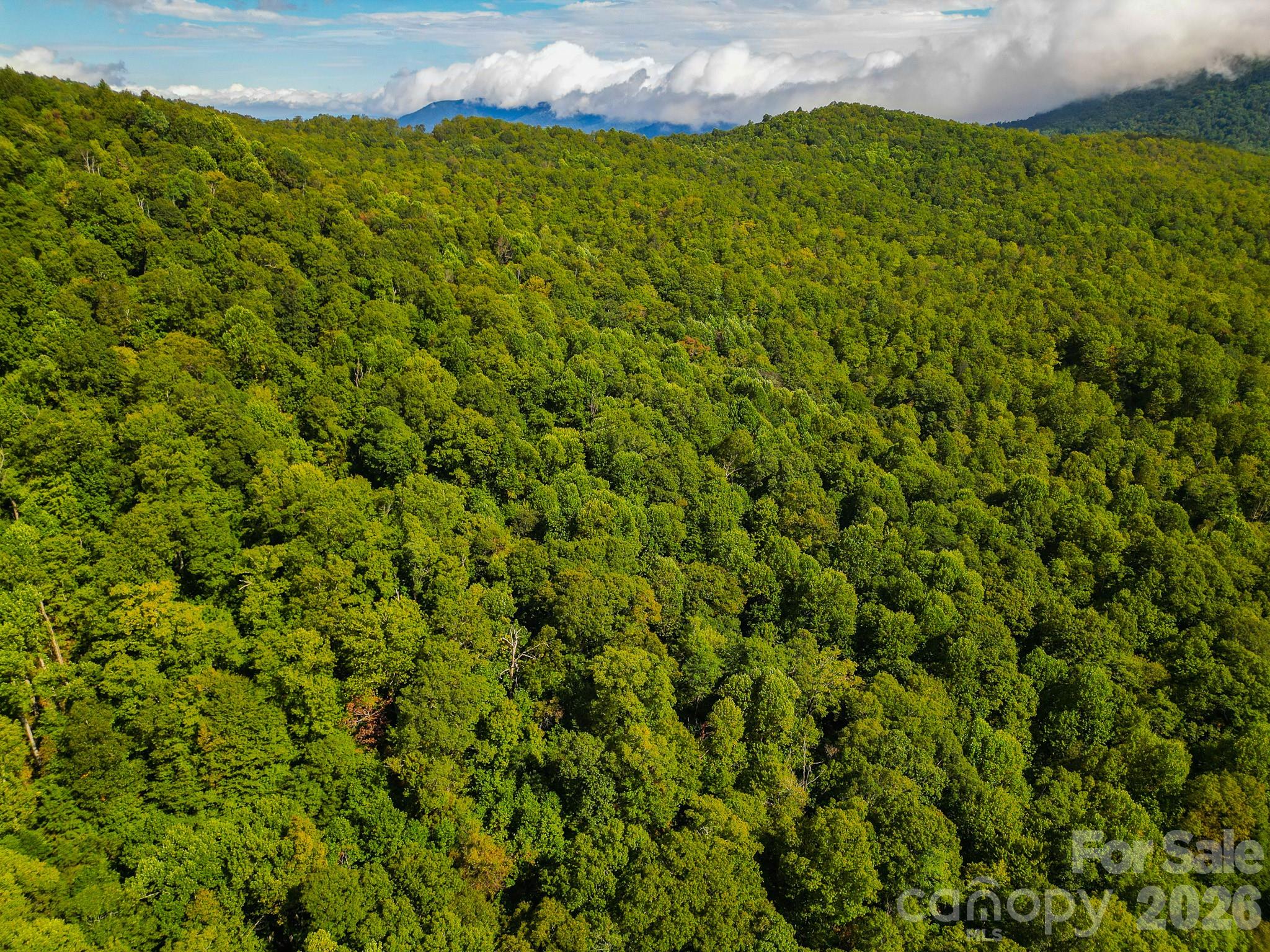 99999 Forest Brook Drive Property Photo 7