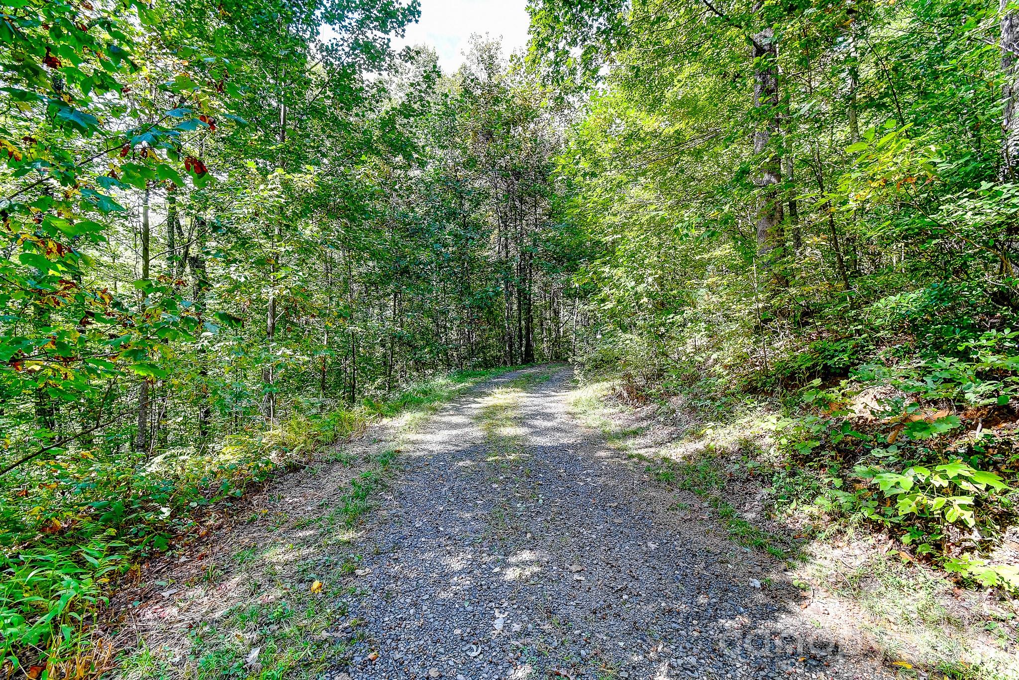 99999 Forest Brook Drive Property Photo 9