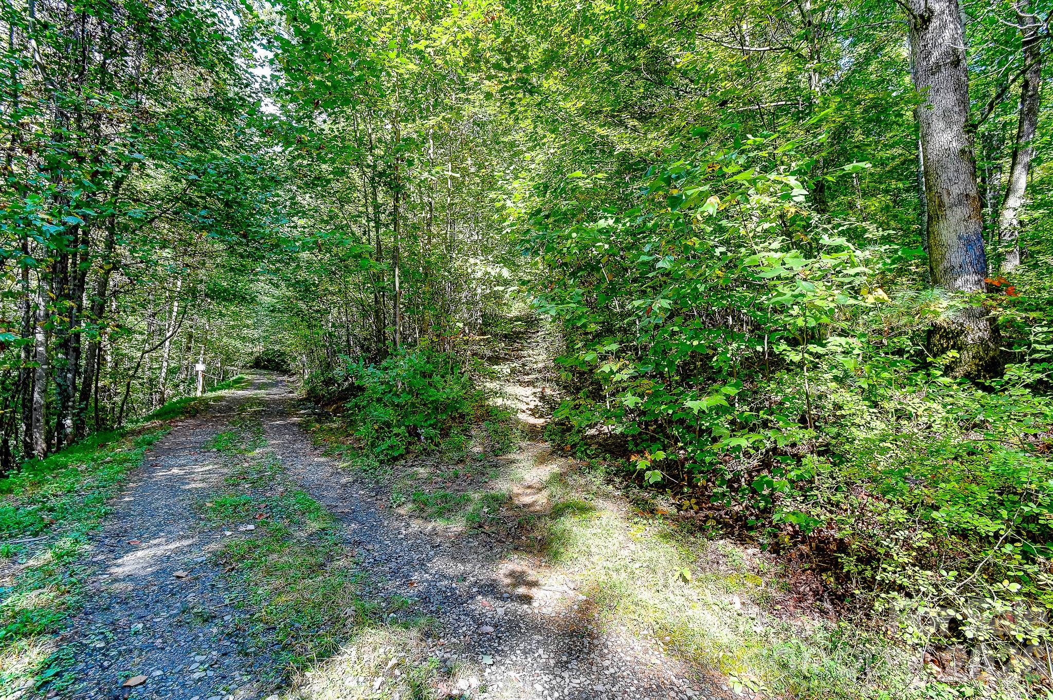 99999 Forest Brook Drive Property Photo 10