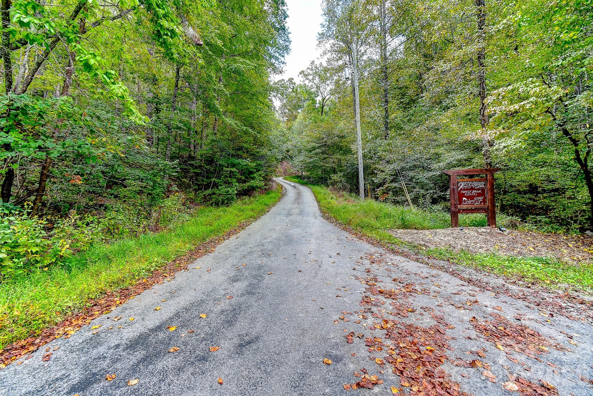 99999 Forest Brook Drive Property Photo 11