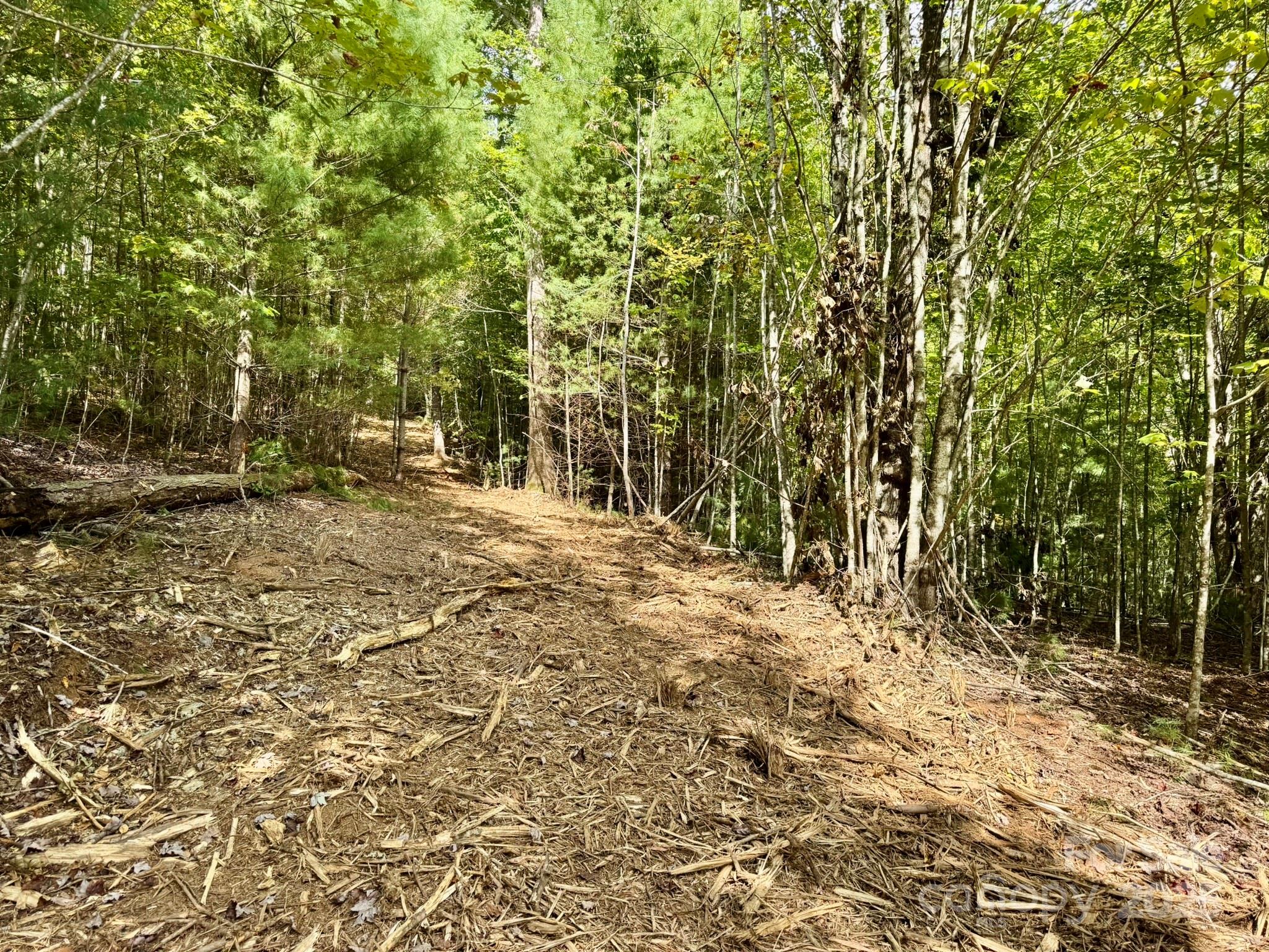 Lots 37 & 38 Settlers Ridge Road Property Photo 4