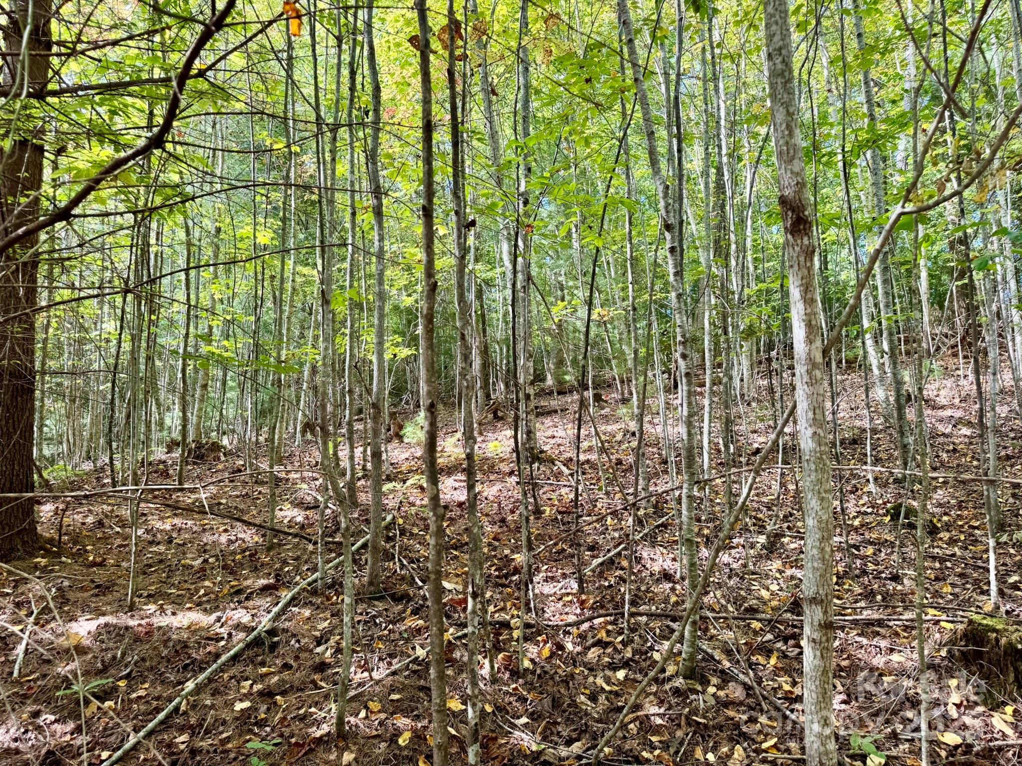 Lots 37 & 38 Settlers Ridge Road Property Photo 6