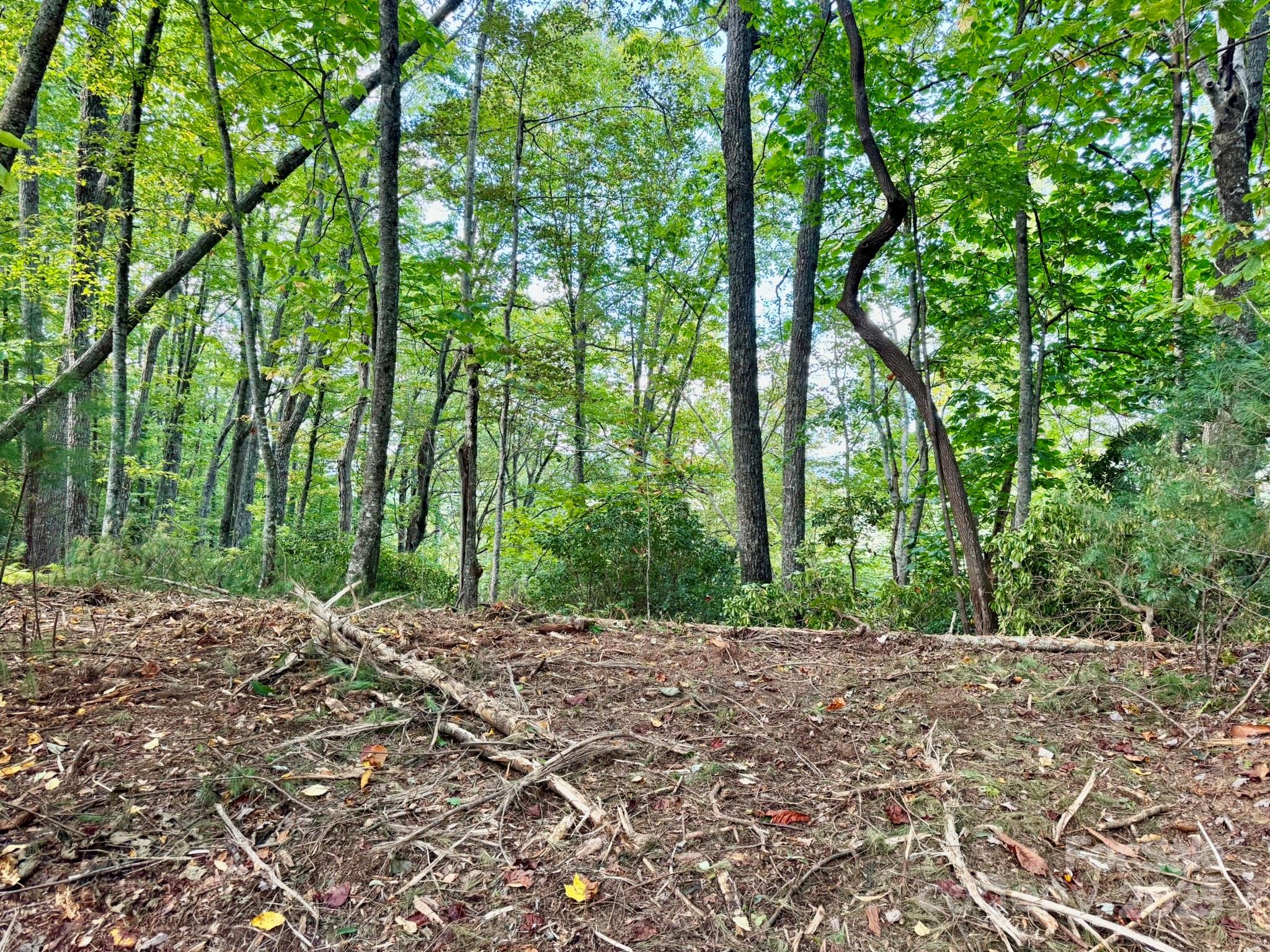 Lots 37 & 38 Settlers Ridge Road Property Photo 7