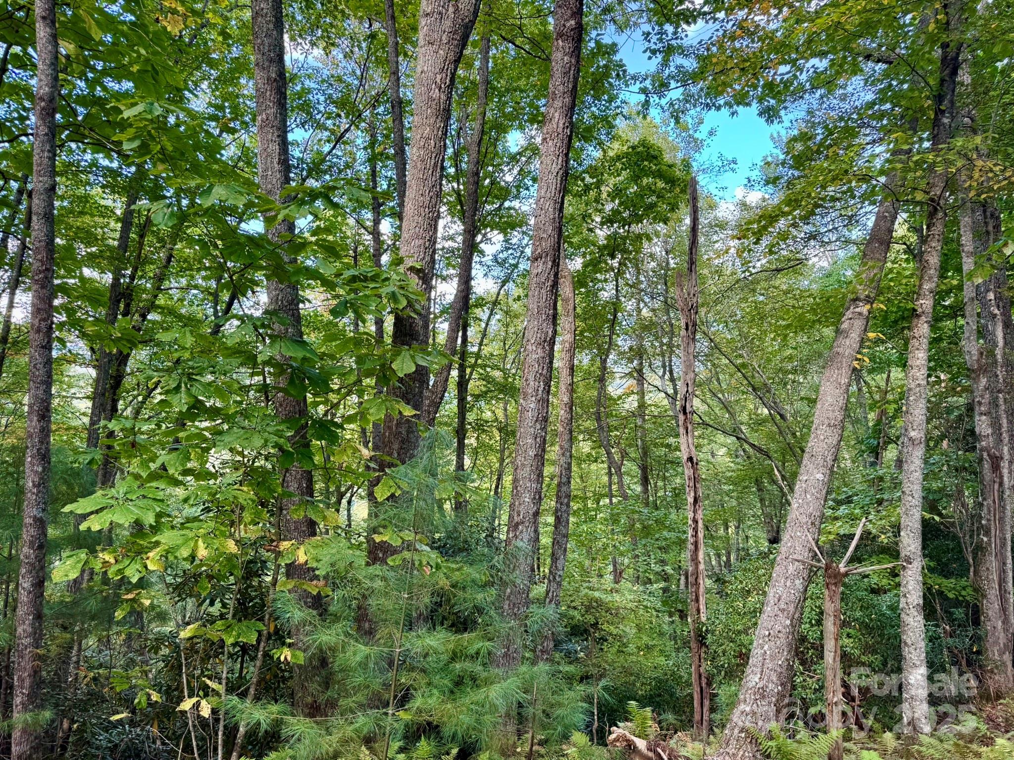 Lots 37 & 38 Settlers Ridge Road Property Photo 8