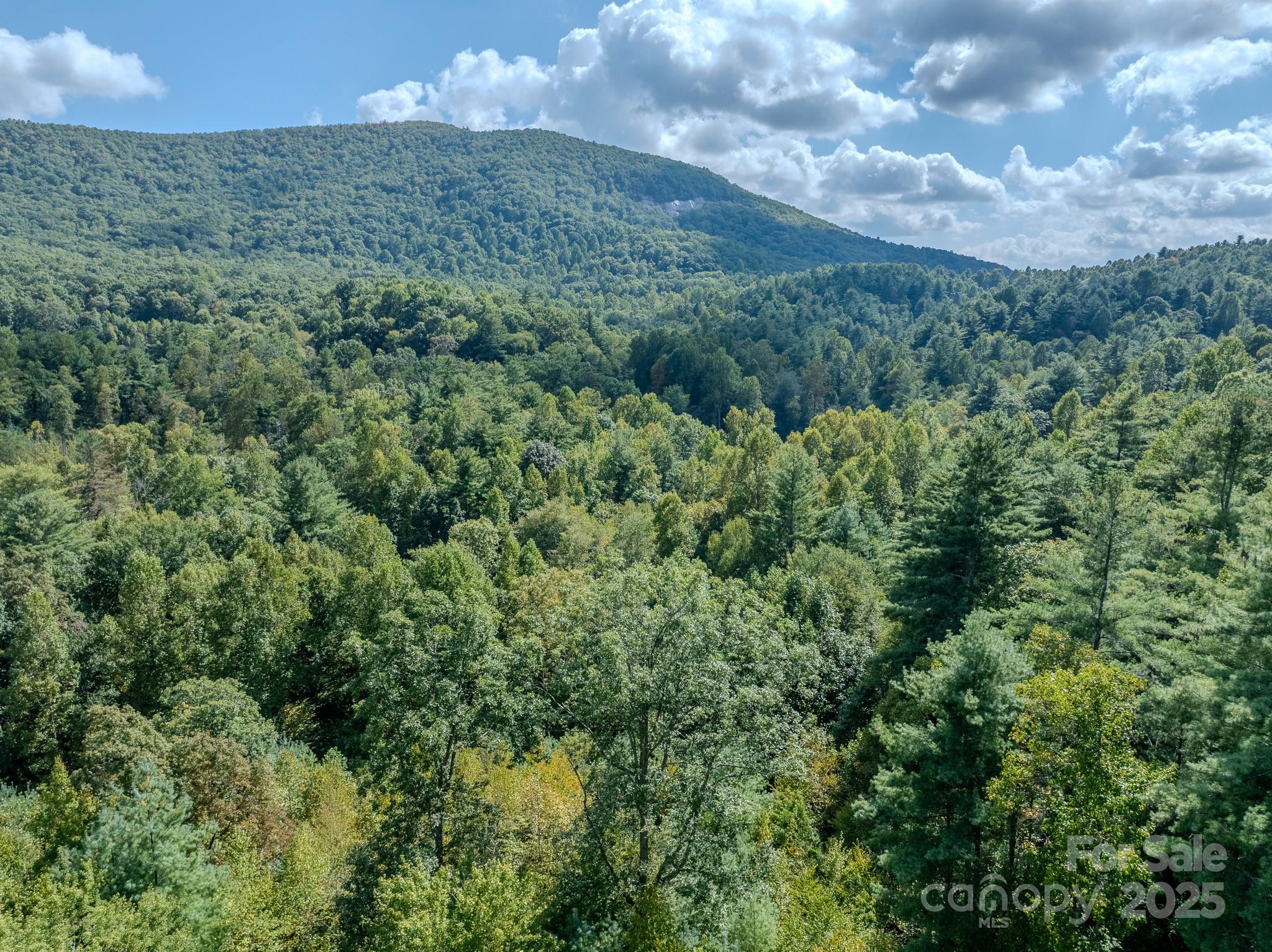 Lots 37 & 38 Settlers Ridge Road Property Photo 12