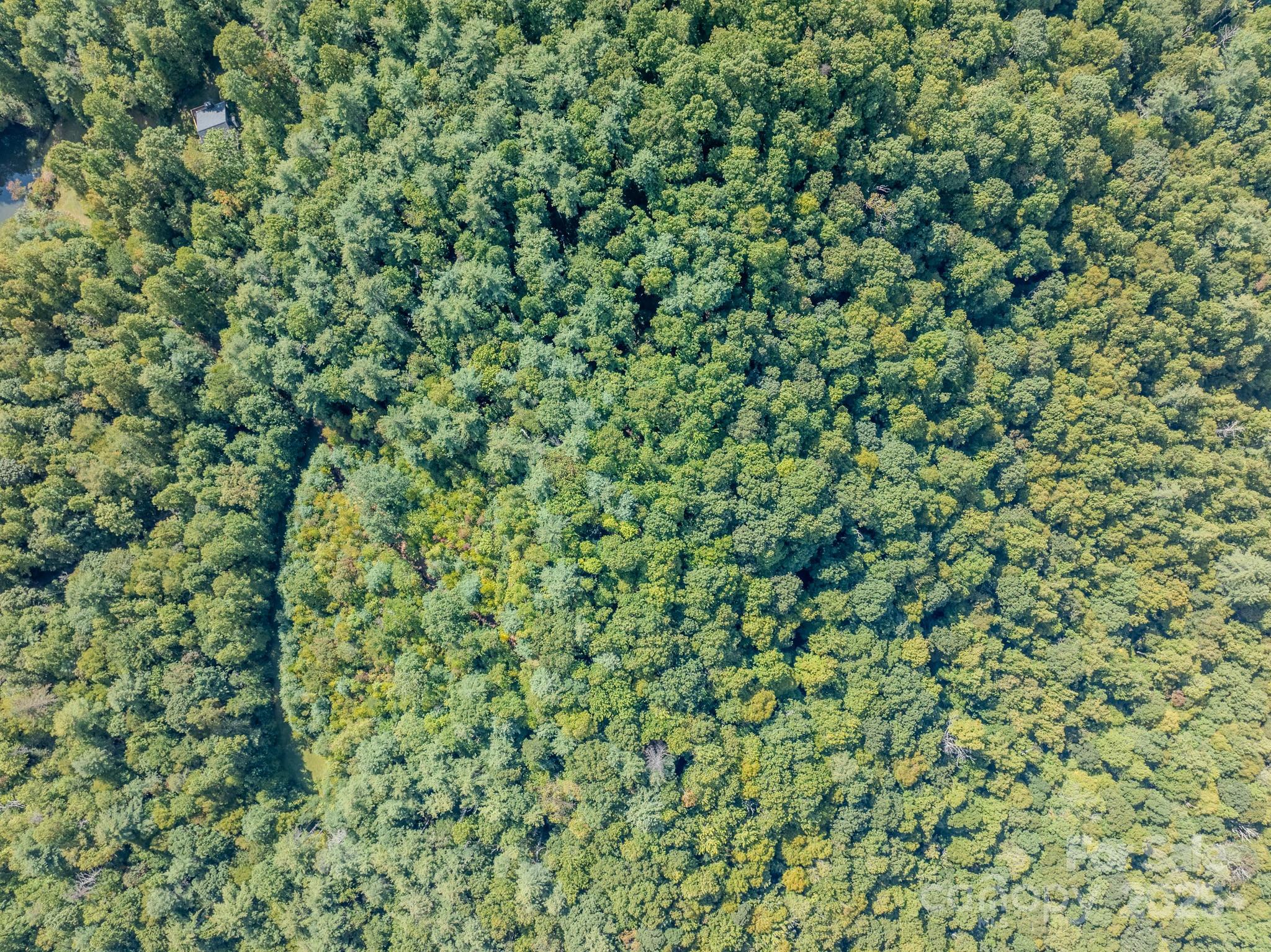 Lots 37 & 38 Settlers Ridge Road Property Photo 25