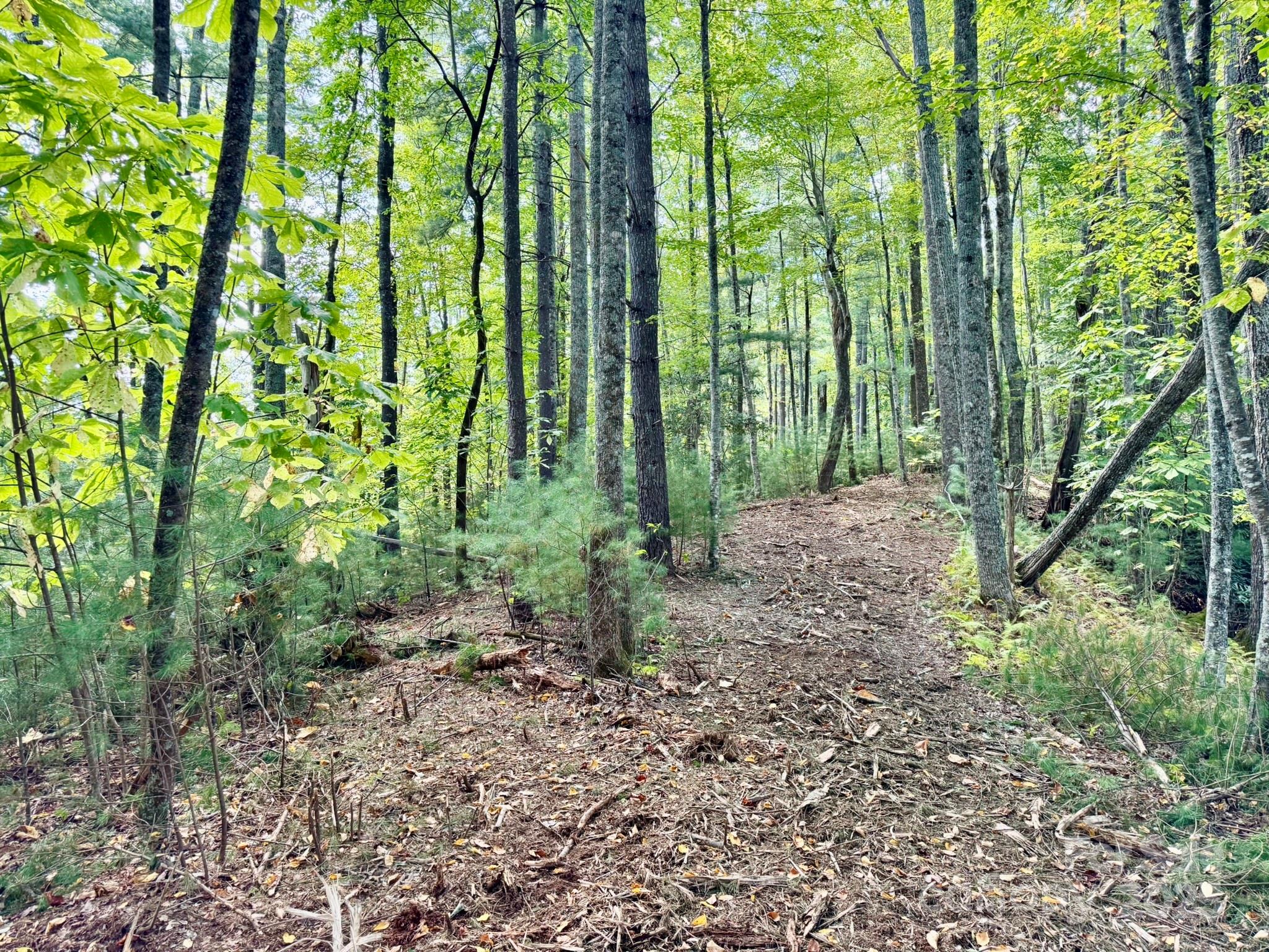 Lots 37 & 38 Settlers Ridge Road Property Photo 30