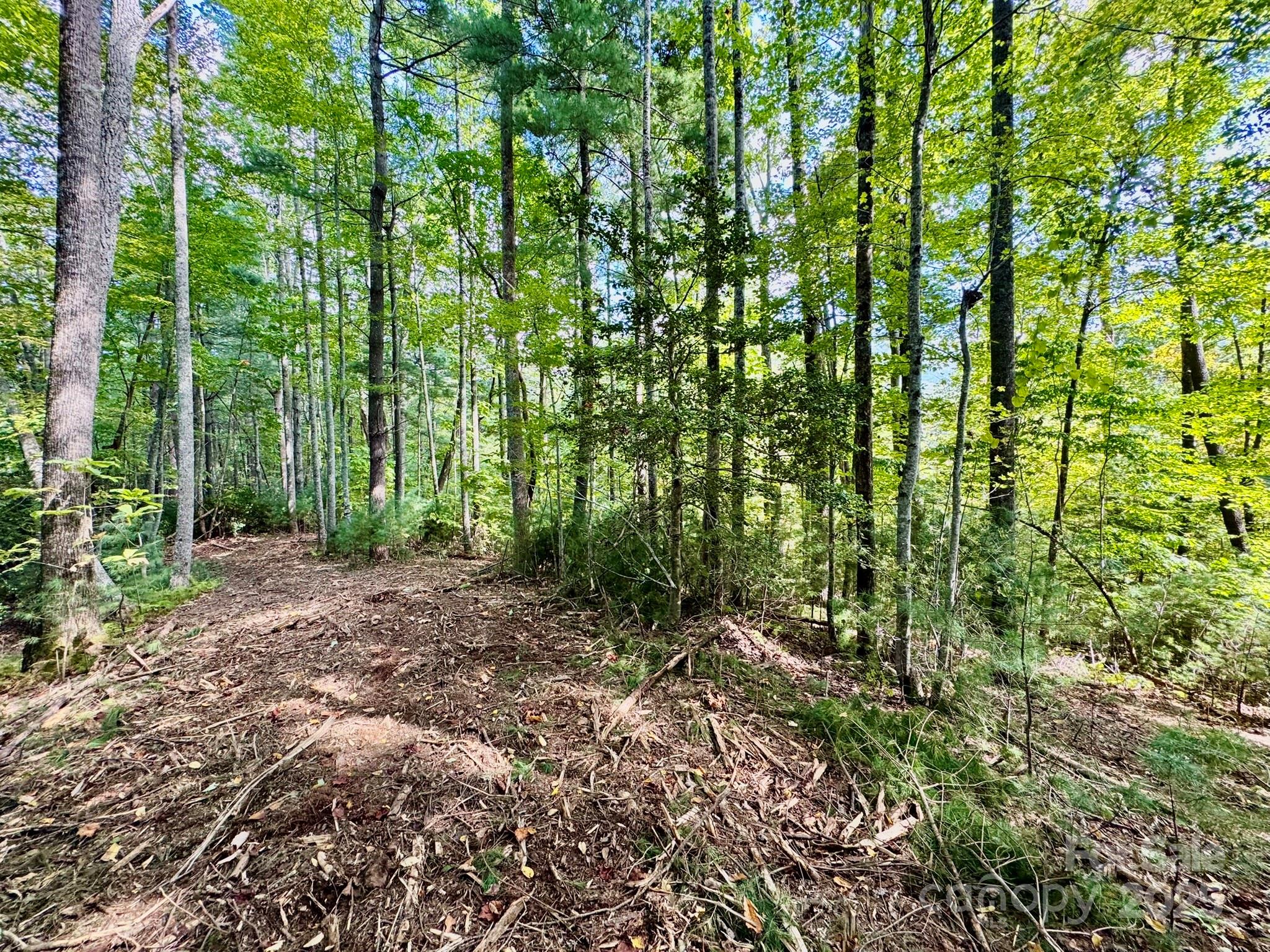 Lots 37 & 38 Settlers Ridge Road Property Photo 31