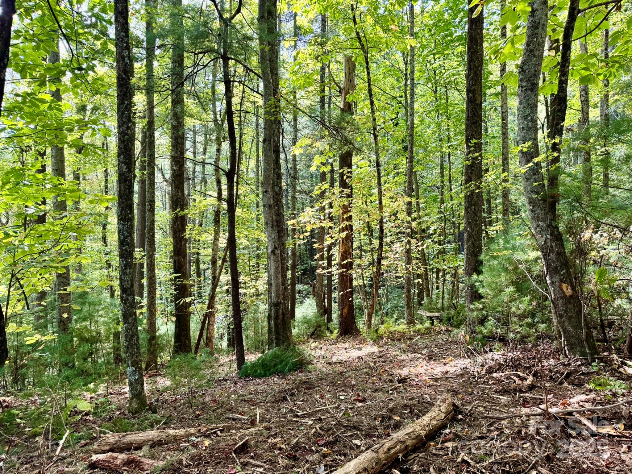 Lots 37 & 38 Settlers Ridge Road Property Photo 32