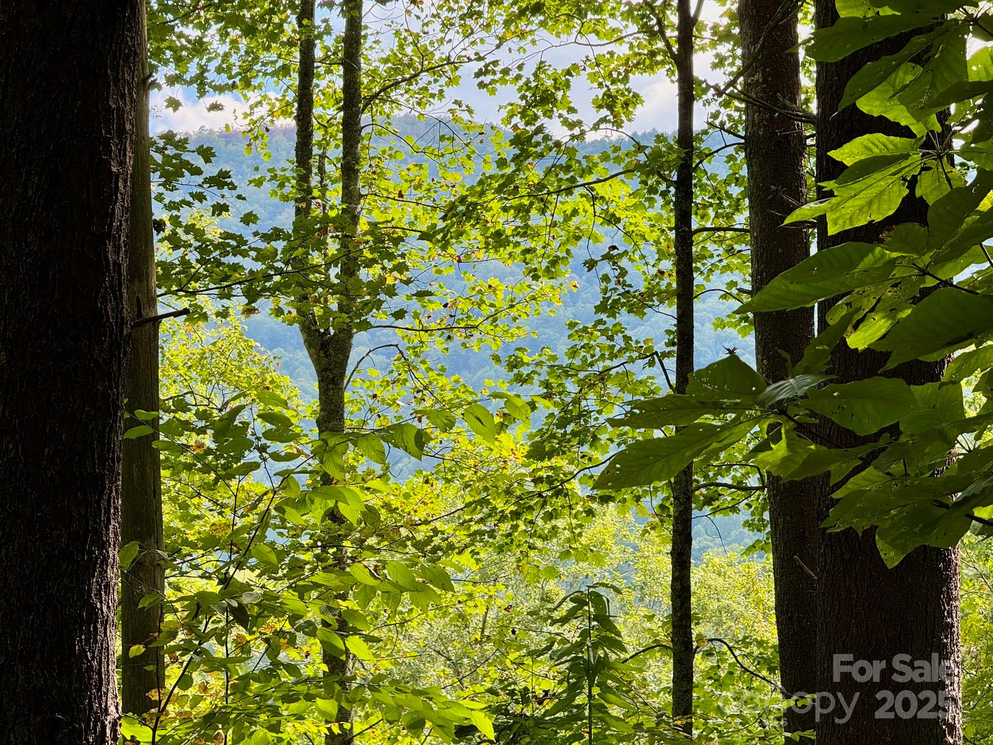 Lots 37 & 38 Settlers Ridge Road Property Photo 33