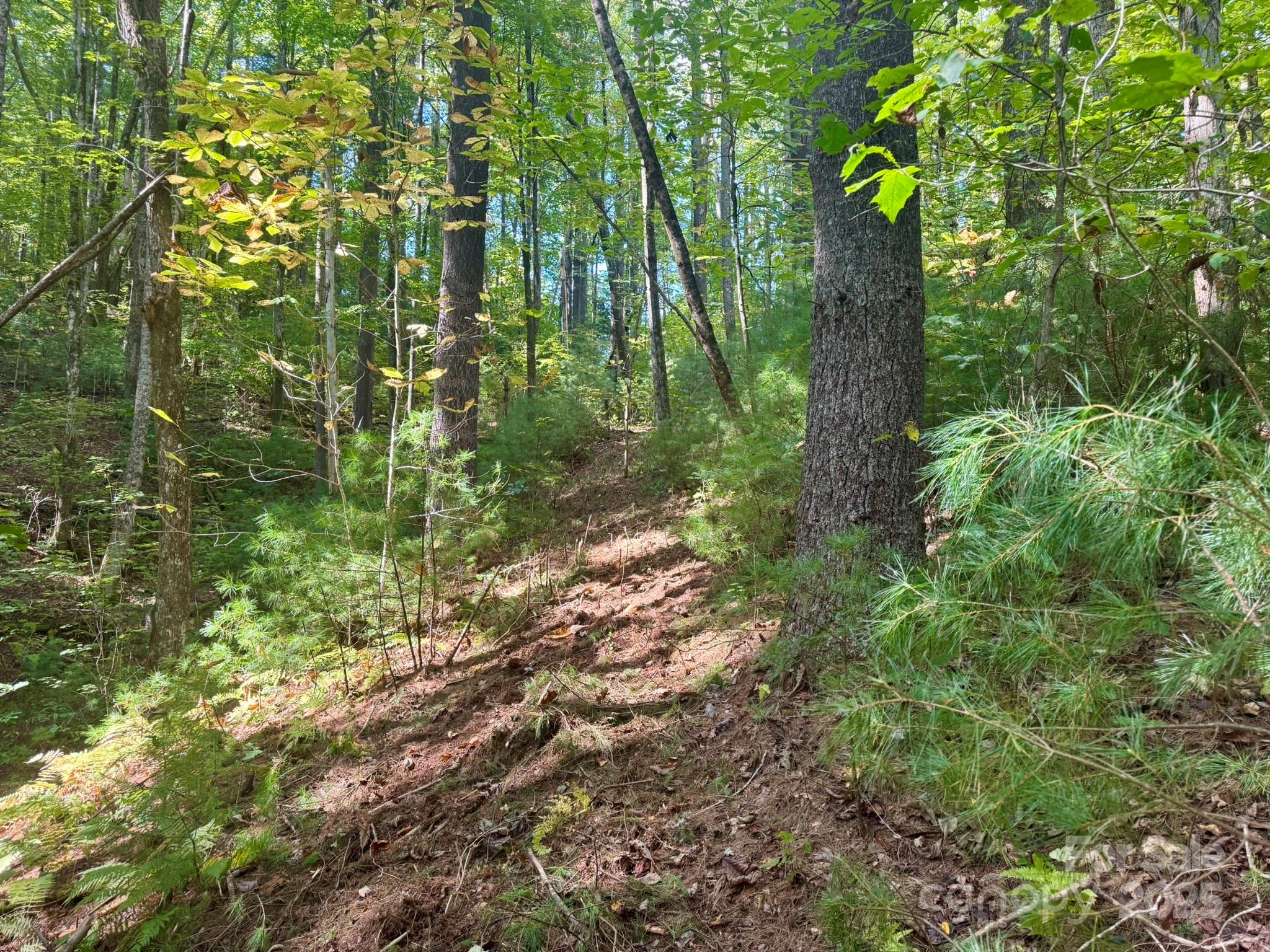 Lots 37 & 38 Settlers Ridge Road Property Photo 34