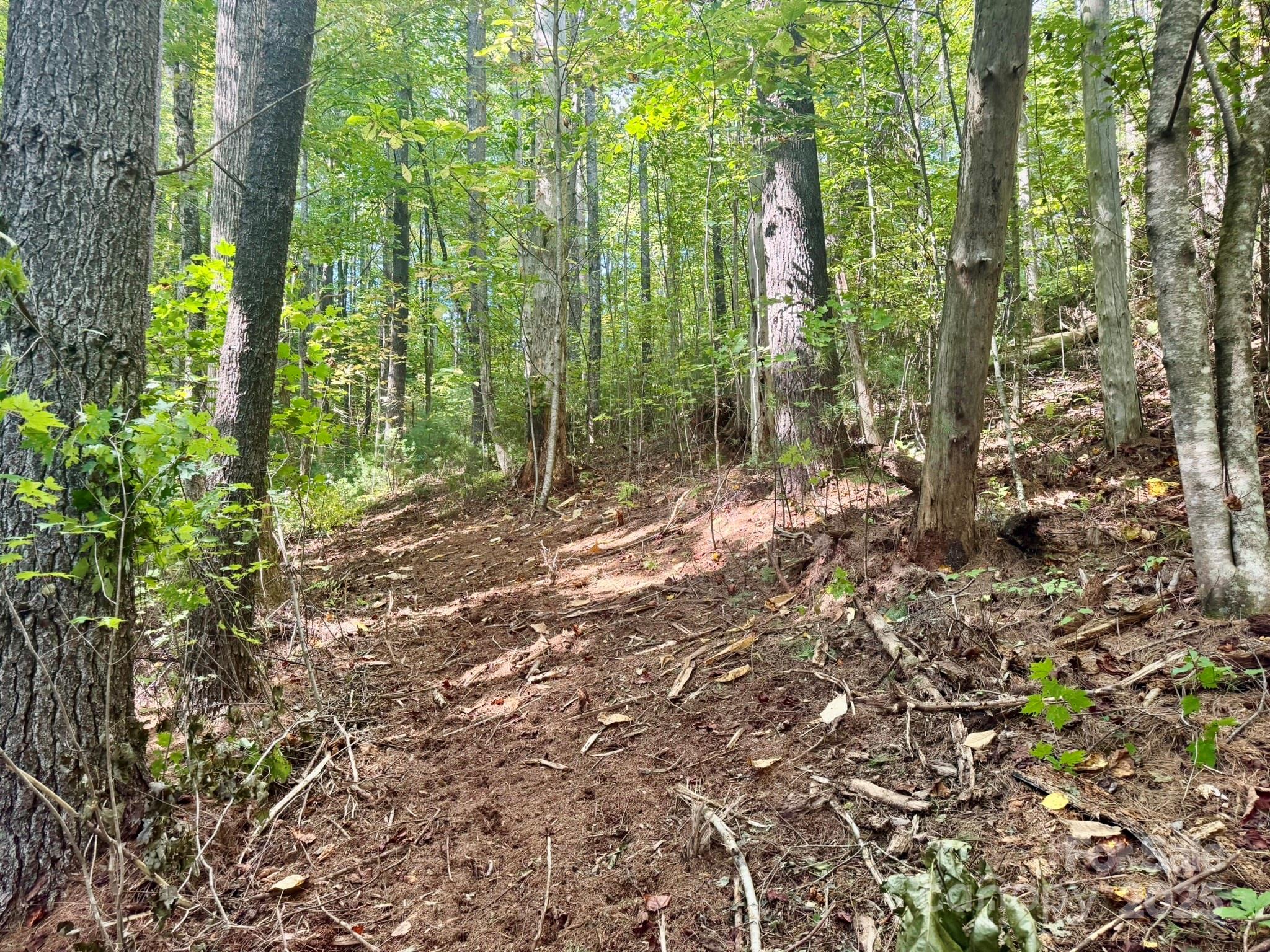 Lots 37 & 38 Settlers Ridge Road Property Photo 35