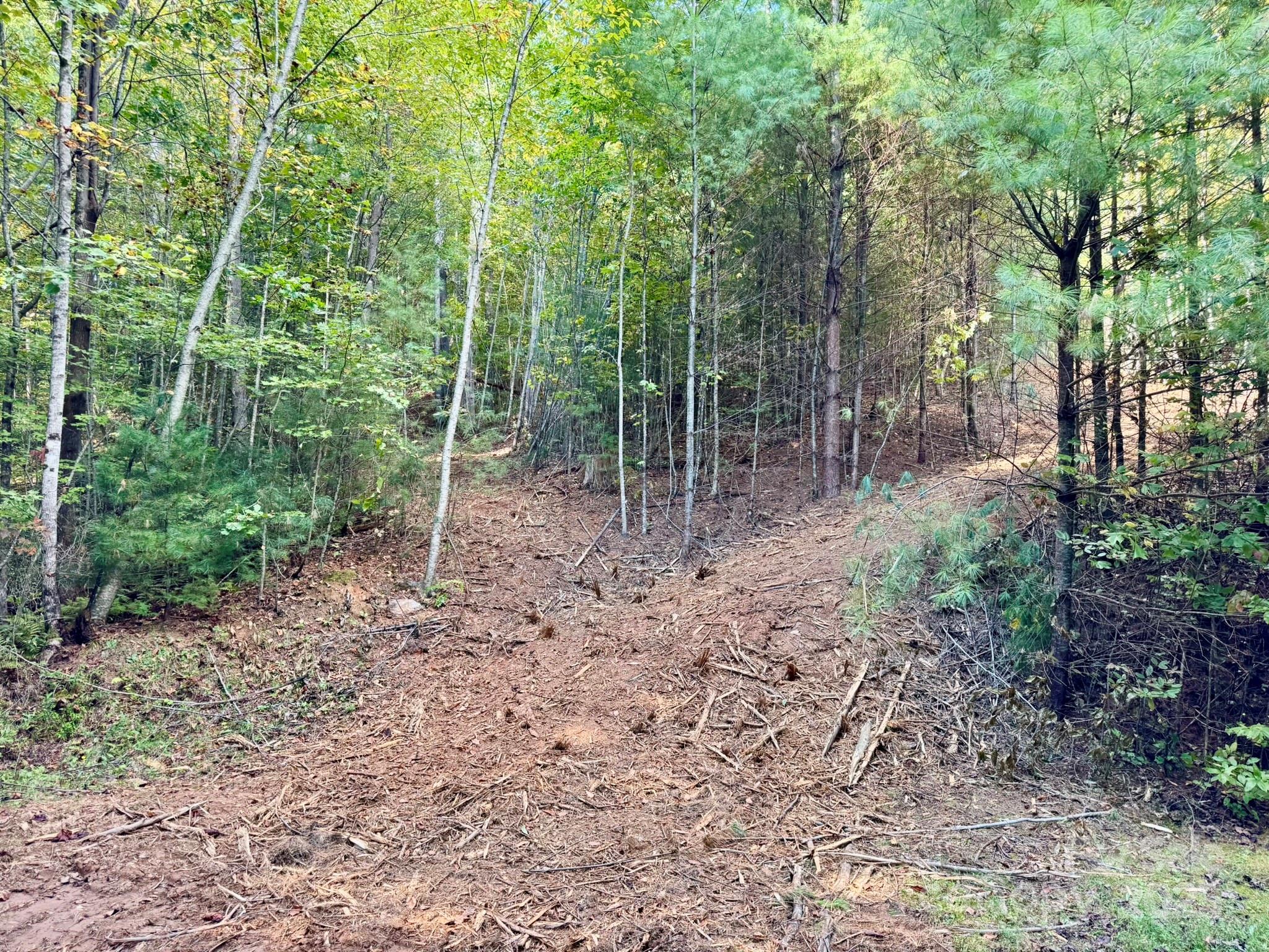 Lots 37 & 38 Settlers Ridge Road Property Photo 36