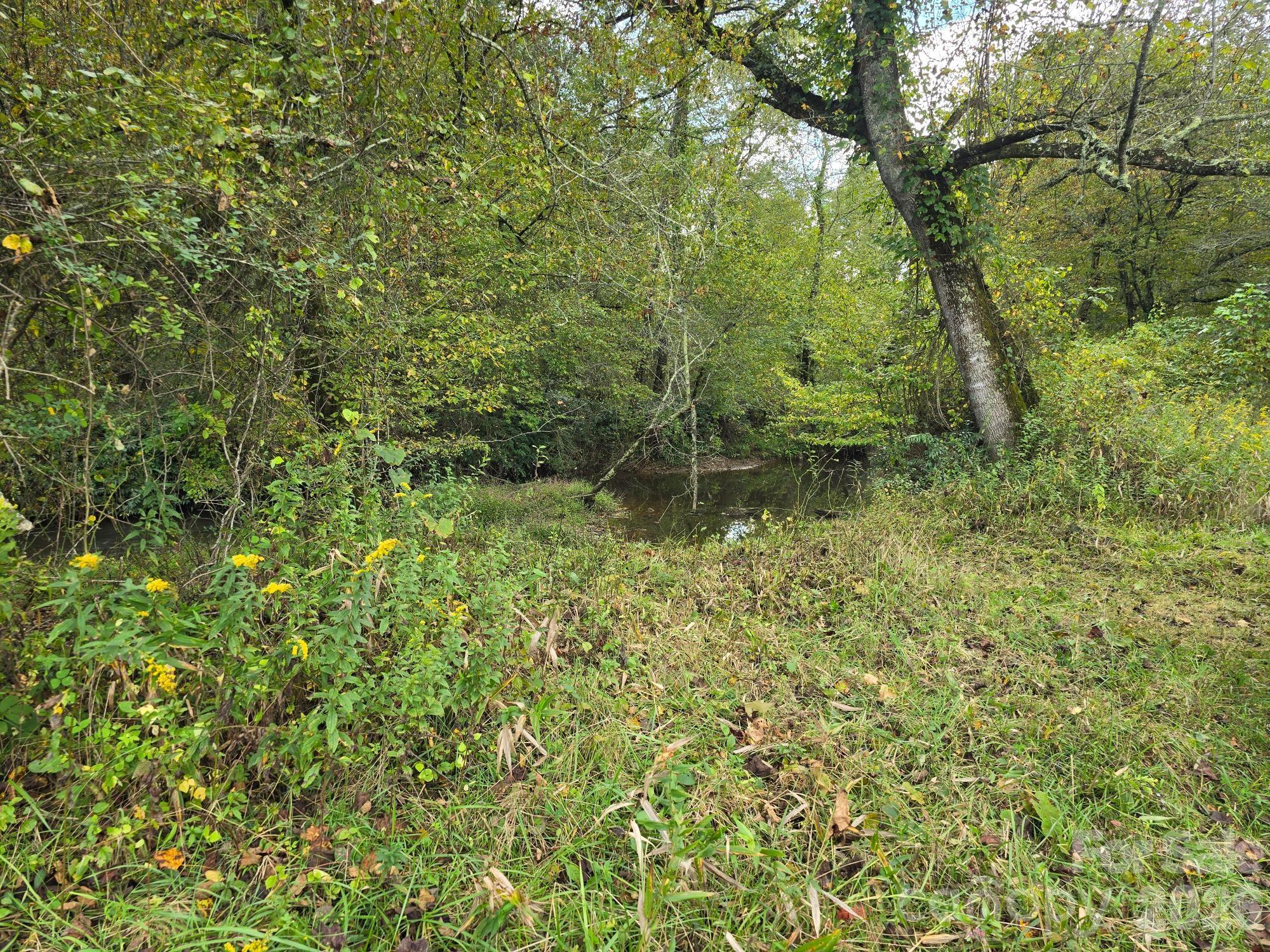 126 & 128 Cook Lane Property Photo 17