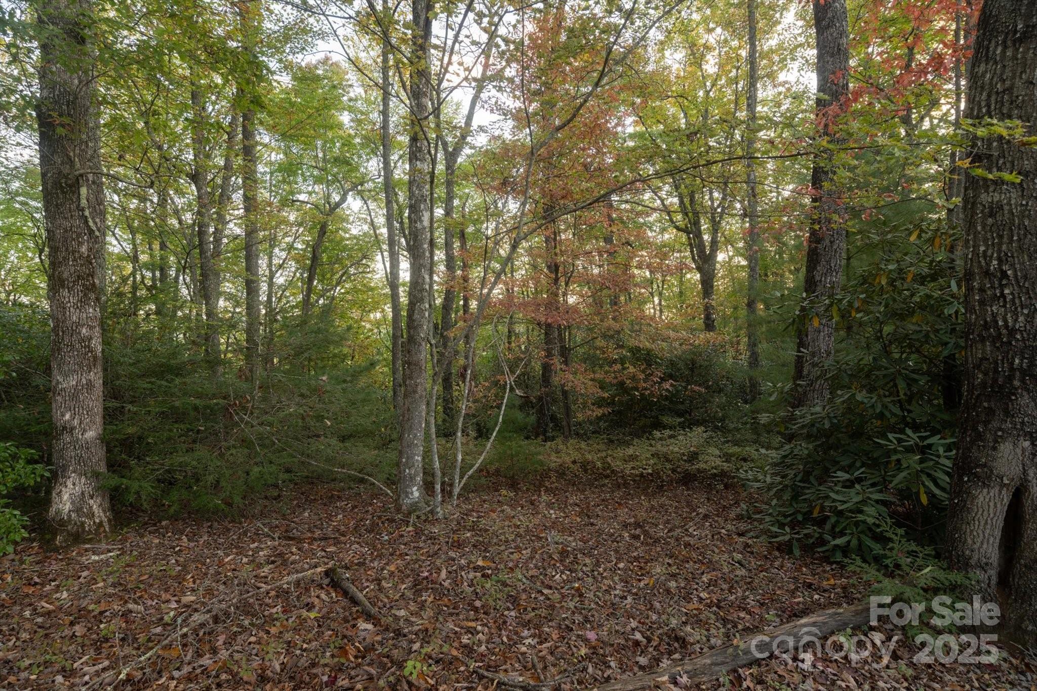 Tbd Pine Mountain Trail M9 Property Photo 4