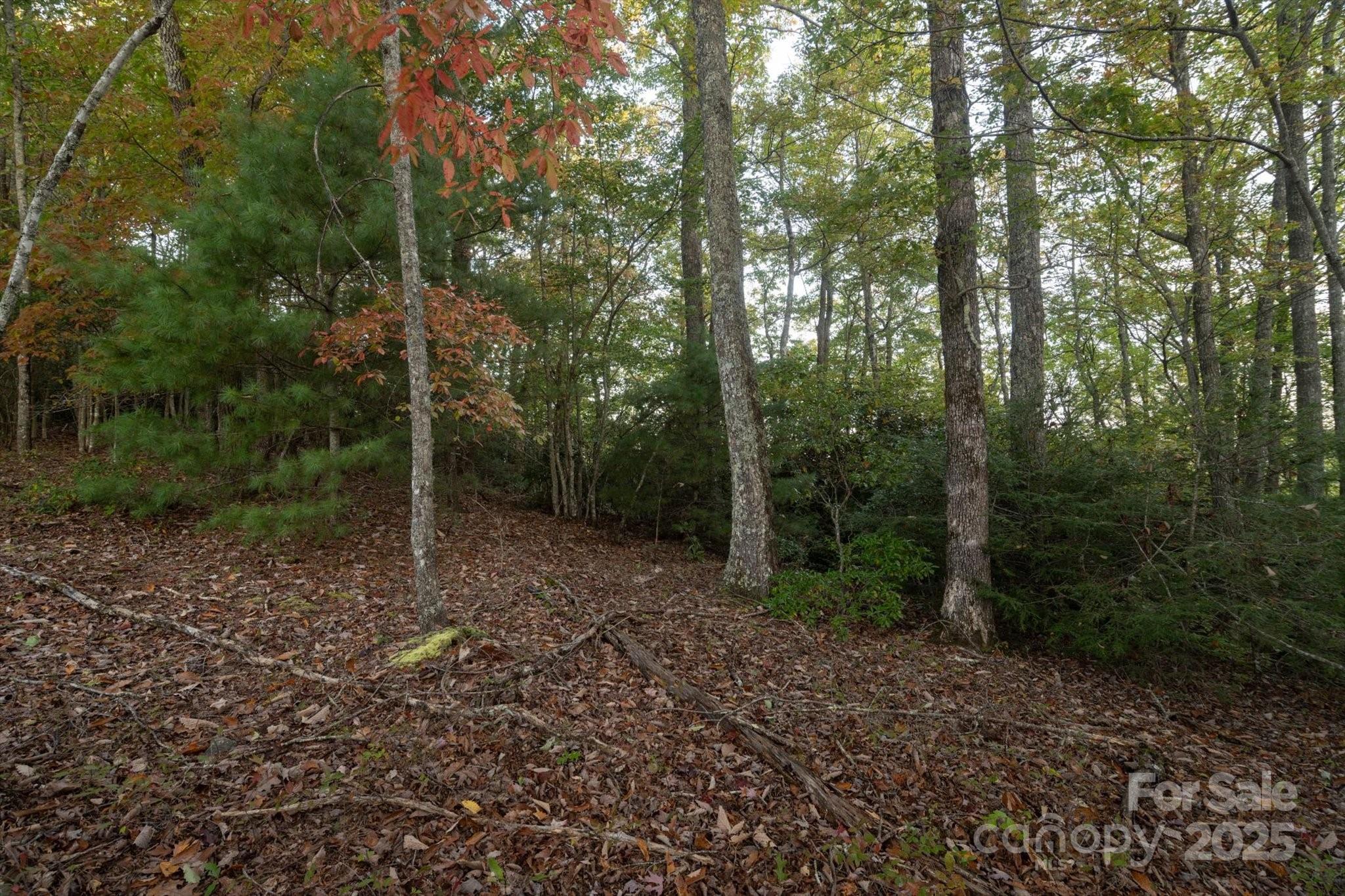 Tbd Pine Mountain Trail M9 Property Photo 5