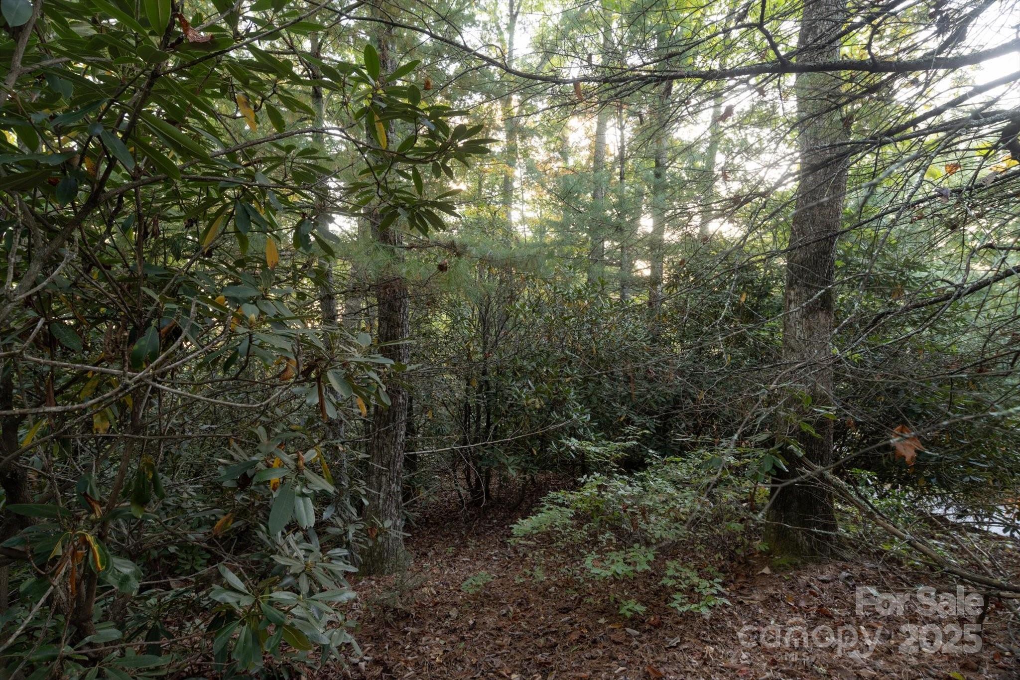 Tbd Pine Mountain Trail M9 Property Photo 6