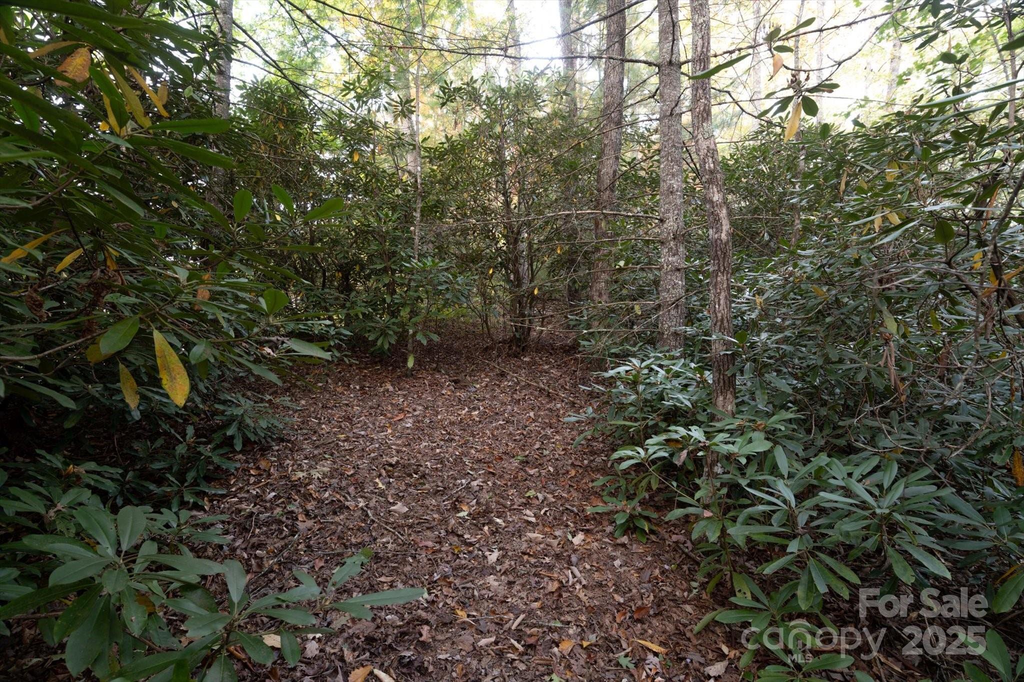 Tbd Pine Mountain Trail M9 Property Photo 7