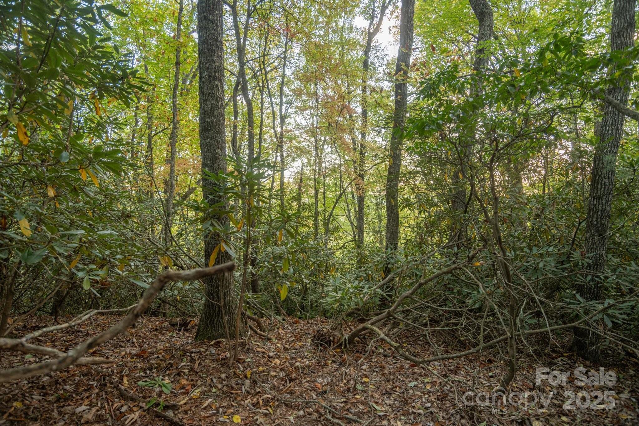 Tbd Pine Mountain Trail M9 Property Photo 8