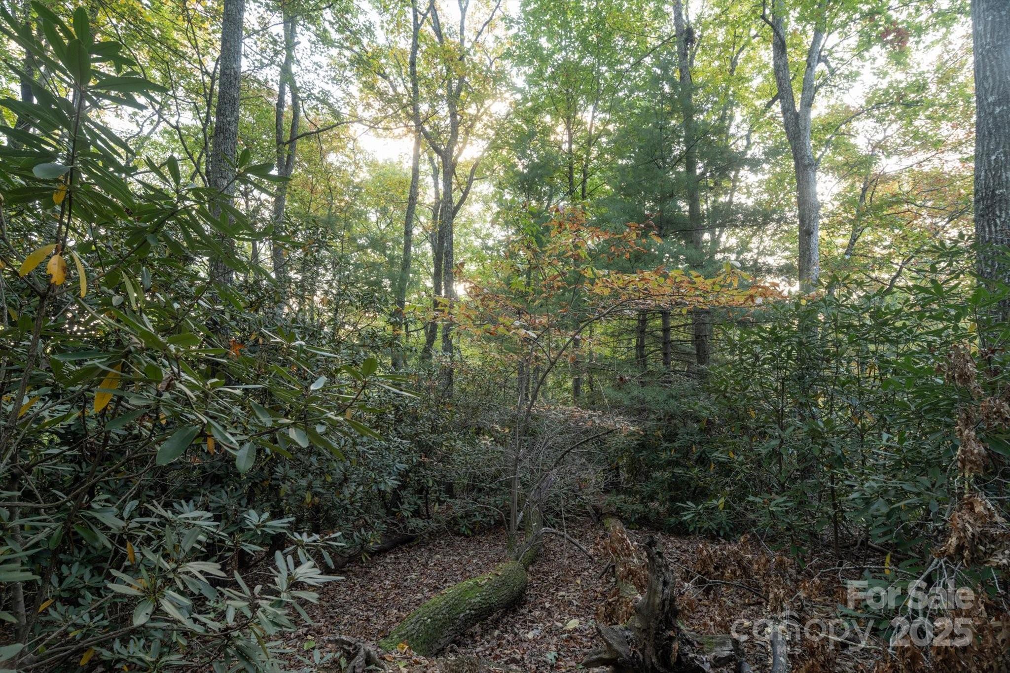 Tbd Pine Mountain Trail M9 Property Photo 9