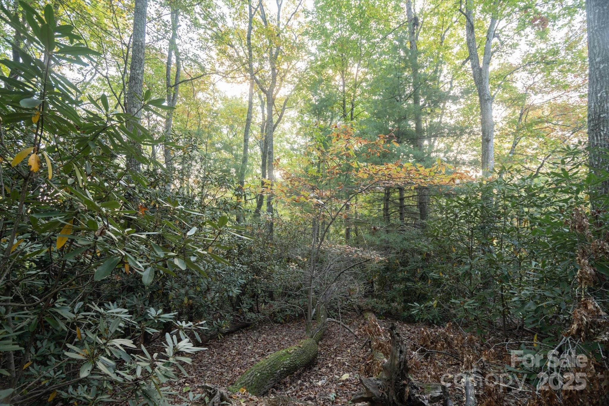 Tbd Pine Mountain Trail M9 Property Photo 10