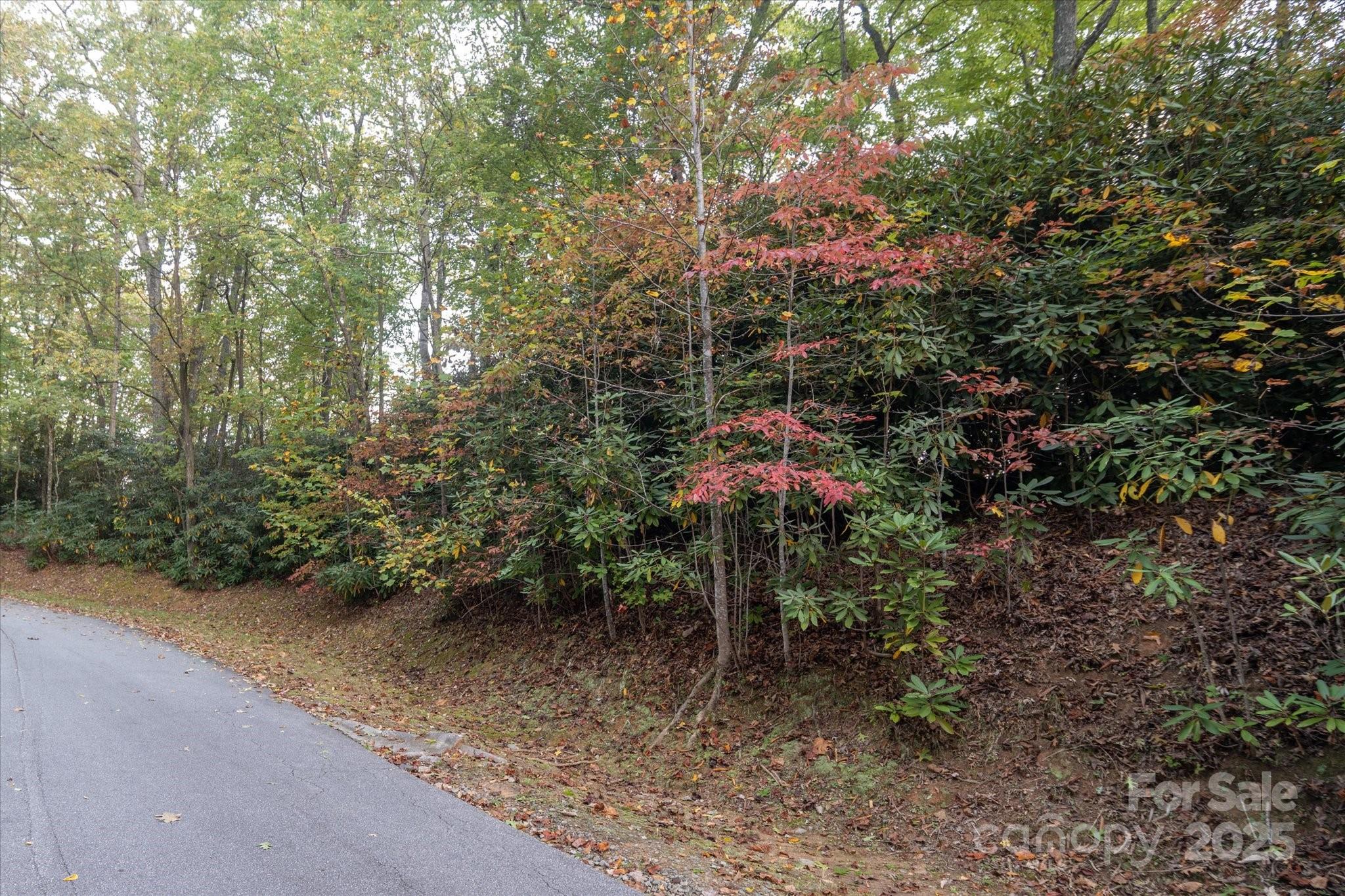 Tbd Pine Mountain Trail M8 & M9 Property Photo 3