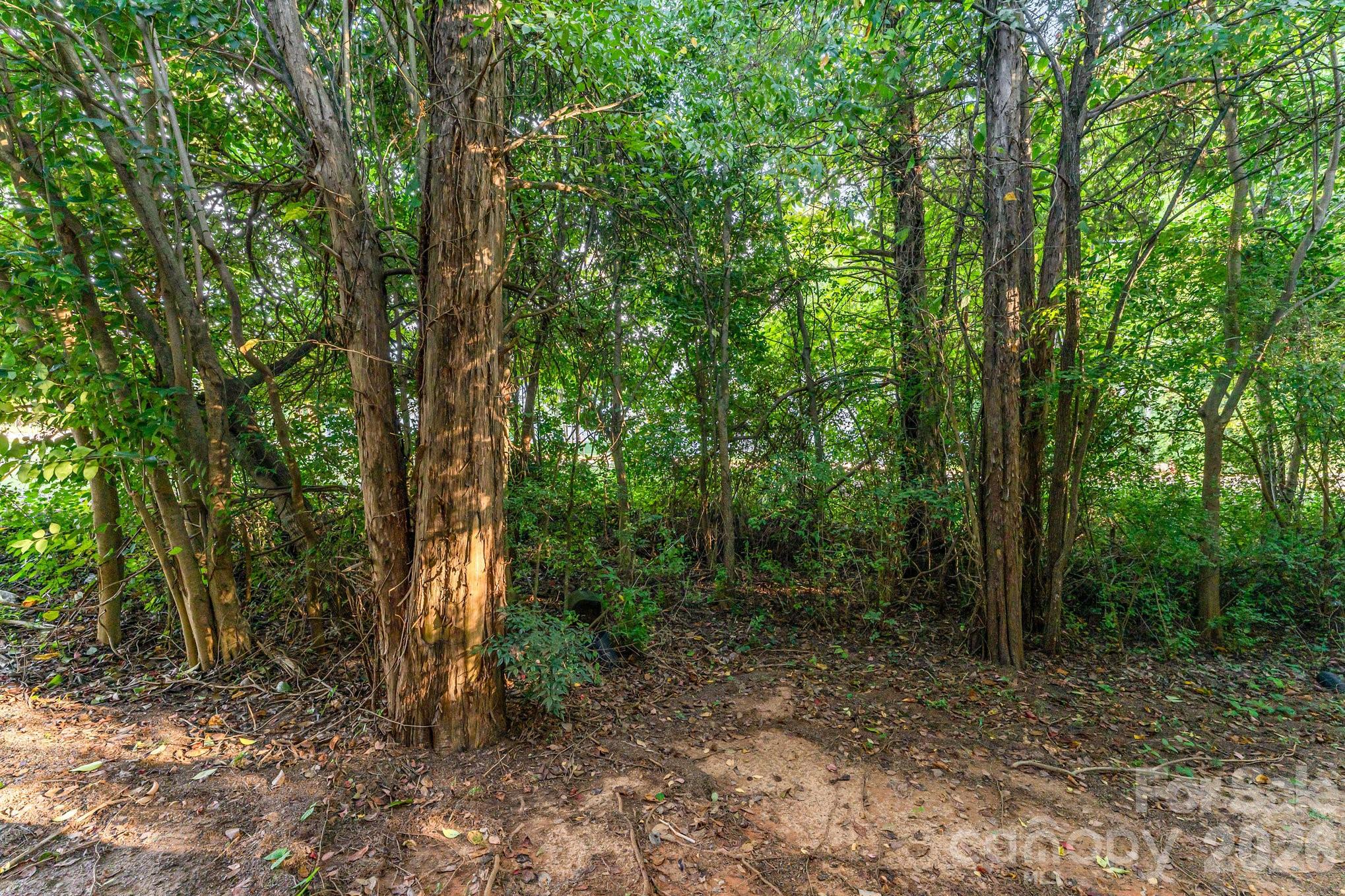 5356 Austin Knoll Court Property Photo 18