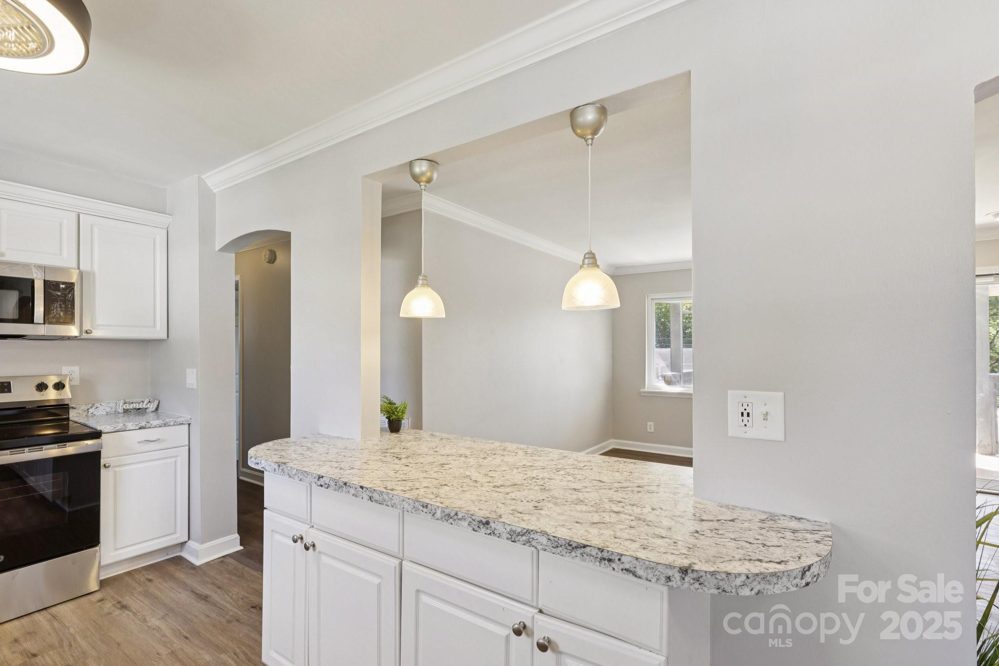 1024 Old Mountain View Road Property Photo 16