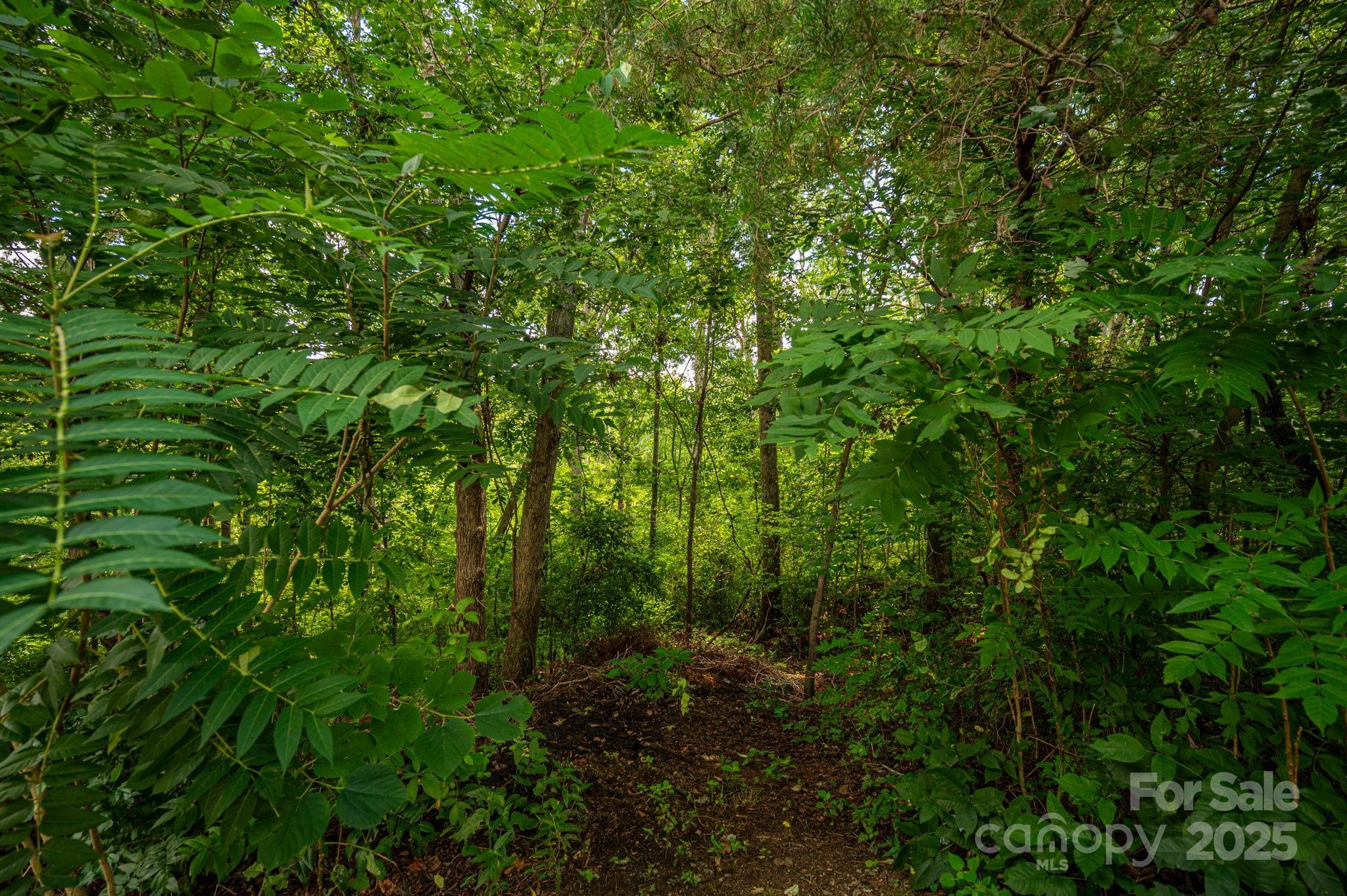 Lot 34 Line Drive Property Photo 1