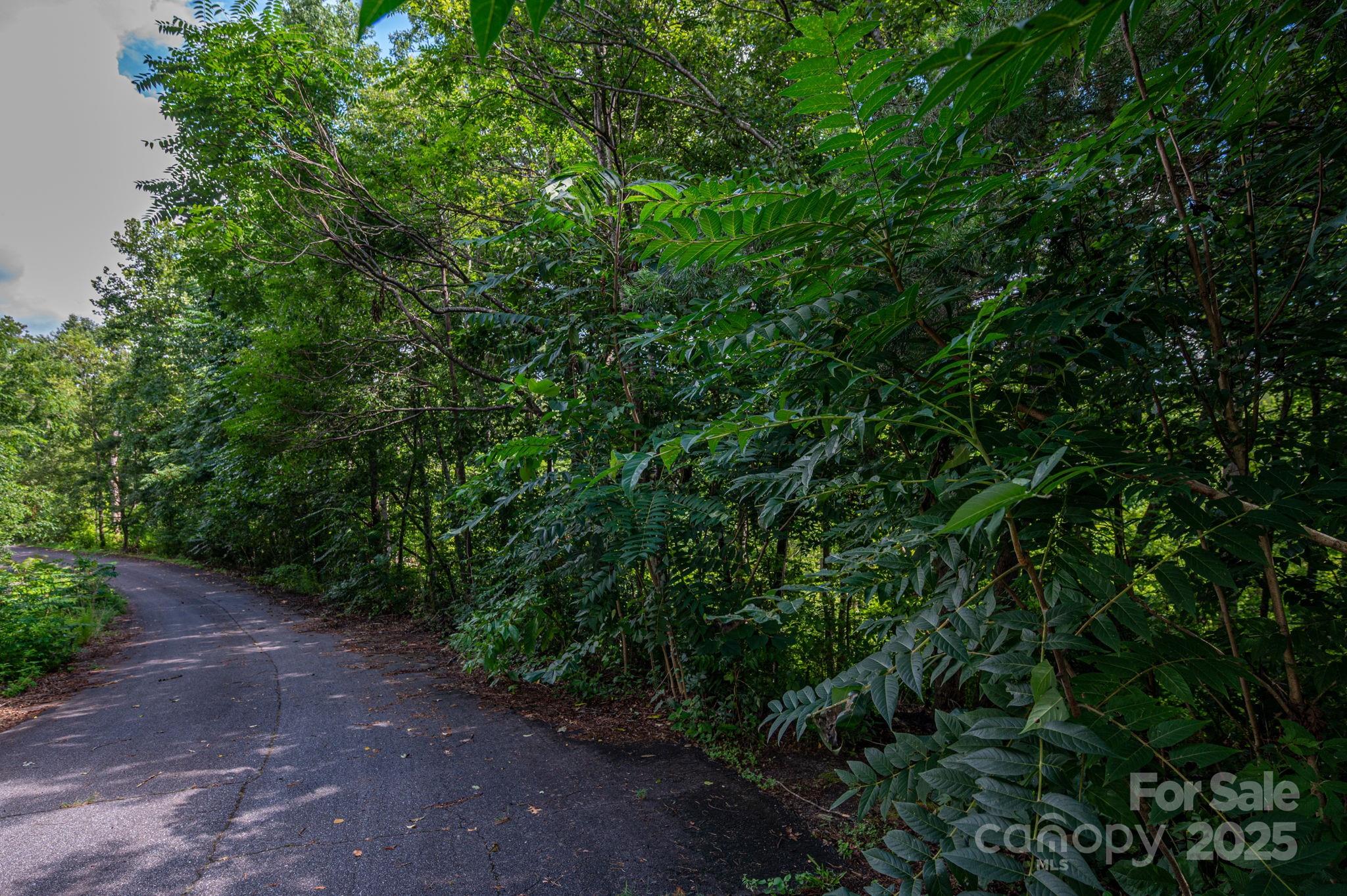 Lot 34 Line Drive Property Photo 3