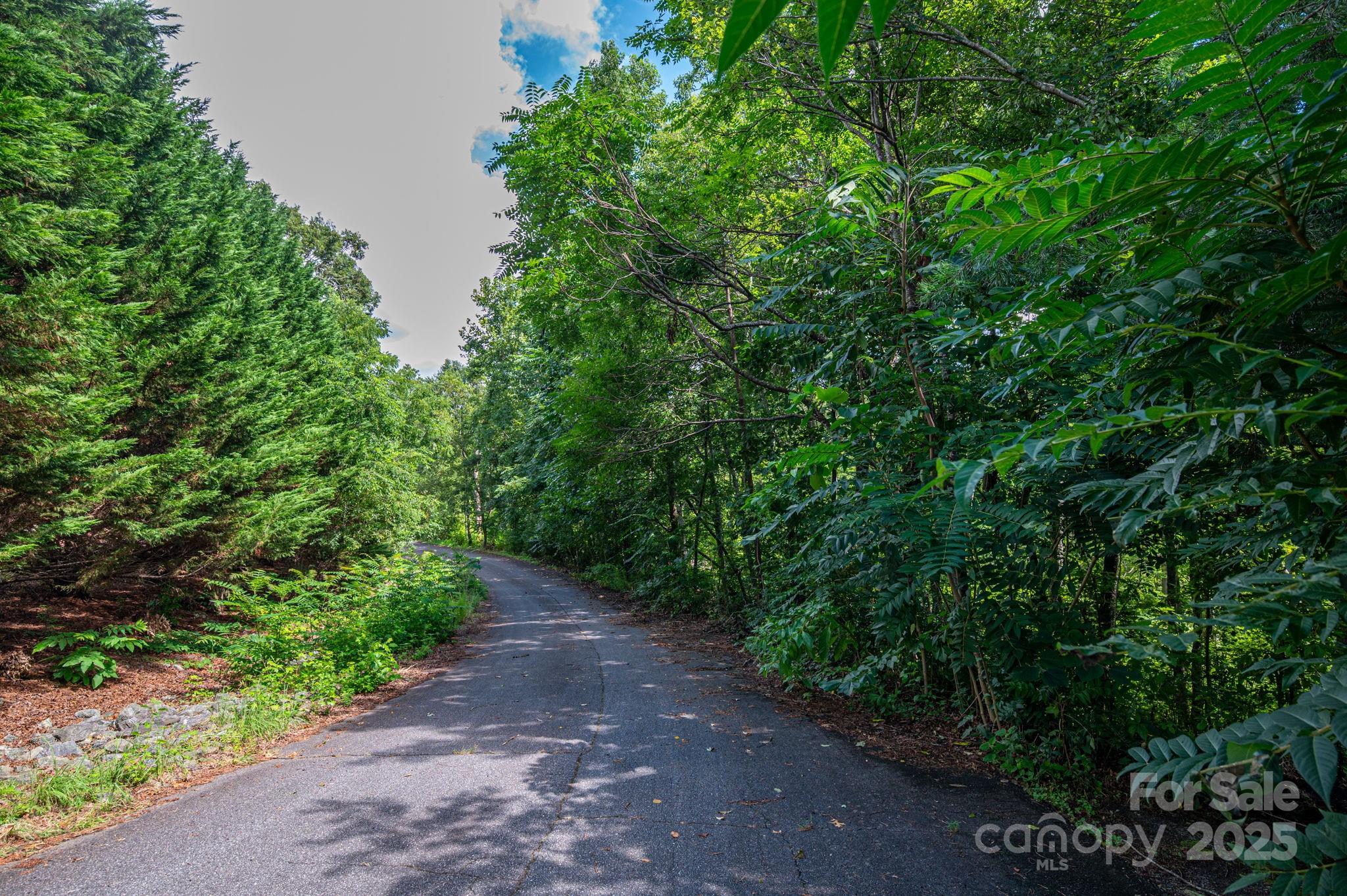 Lot 34 Line Drive Property Photo 7