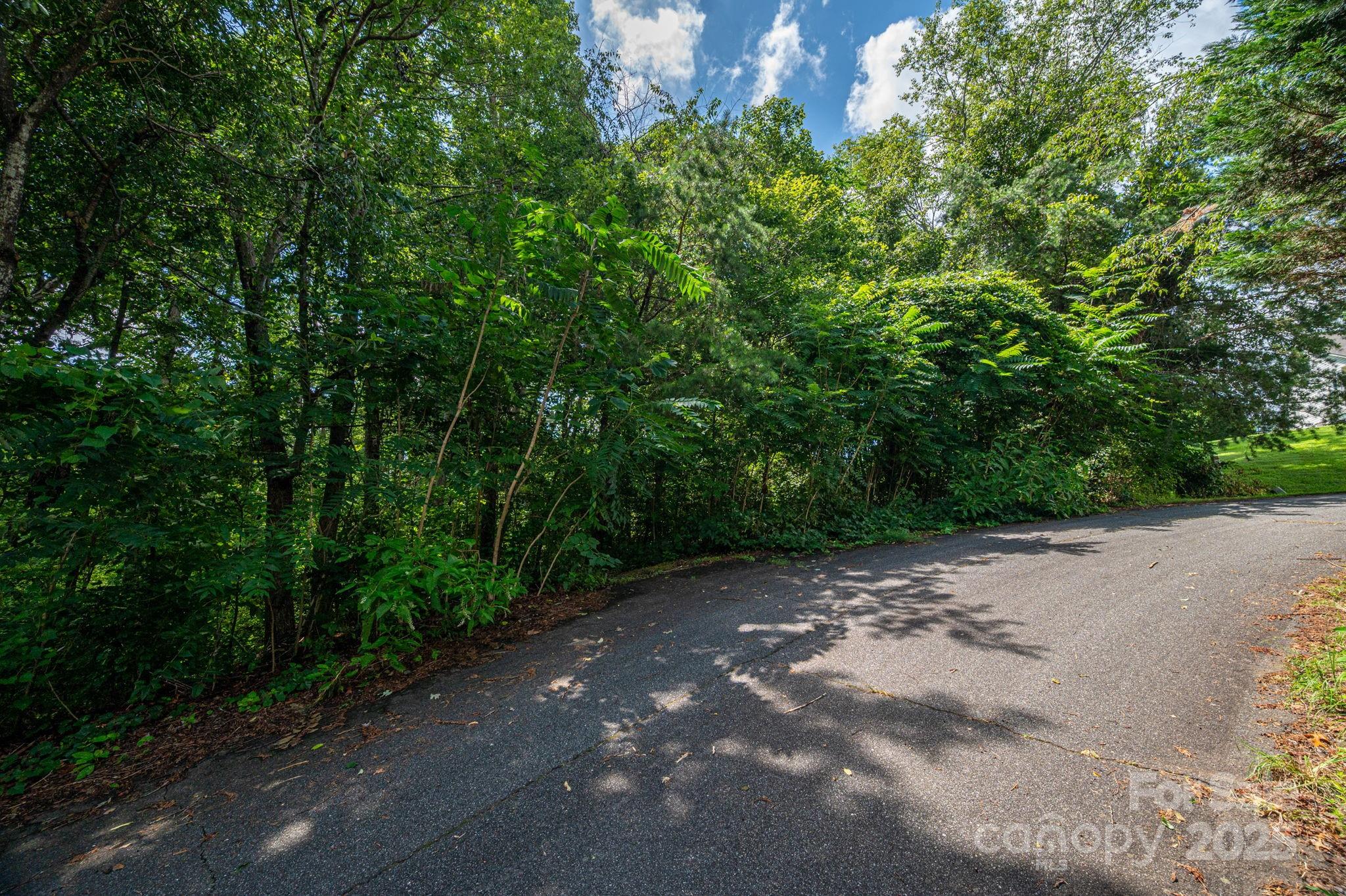 Lot 19 Line Drive Property Photo 1