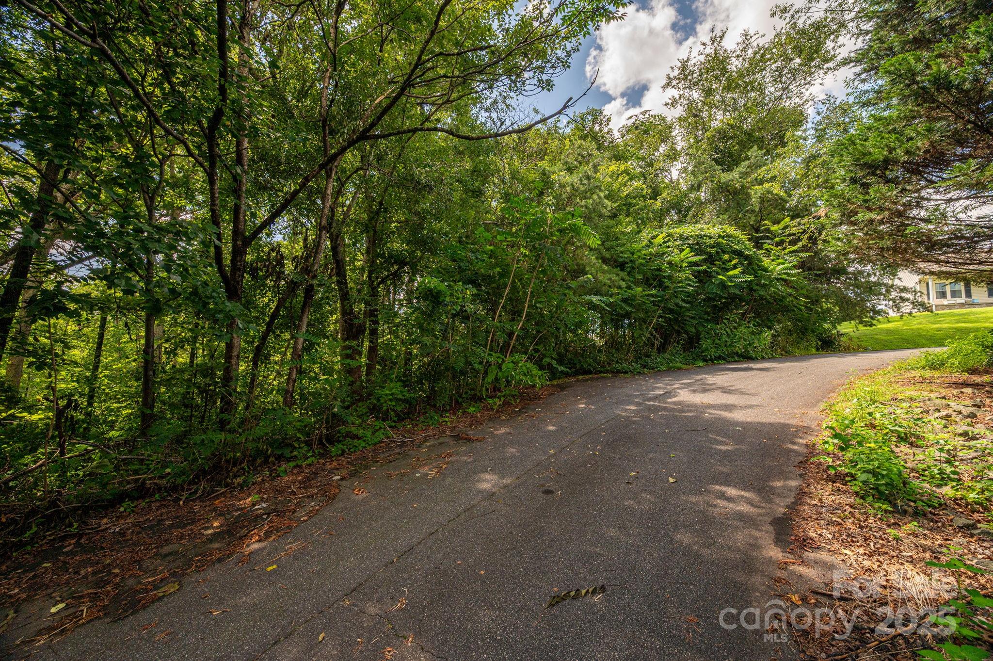 Lot 19 Line Drive Property Photo 2