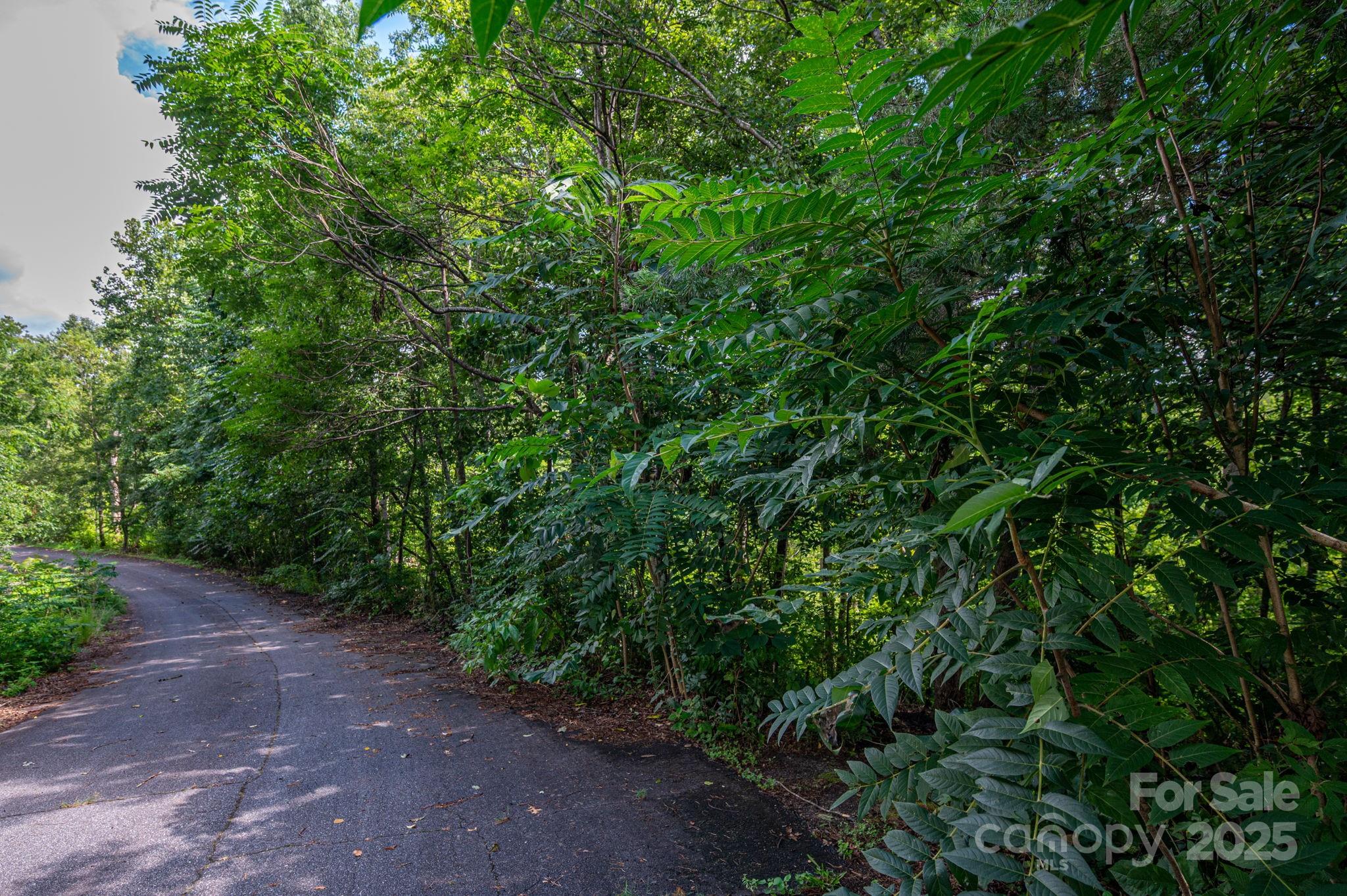 Lot 19 Line Drive Property Photo 4