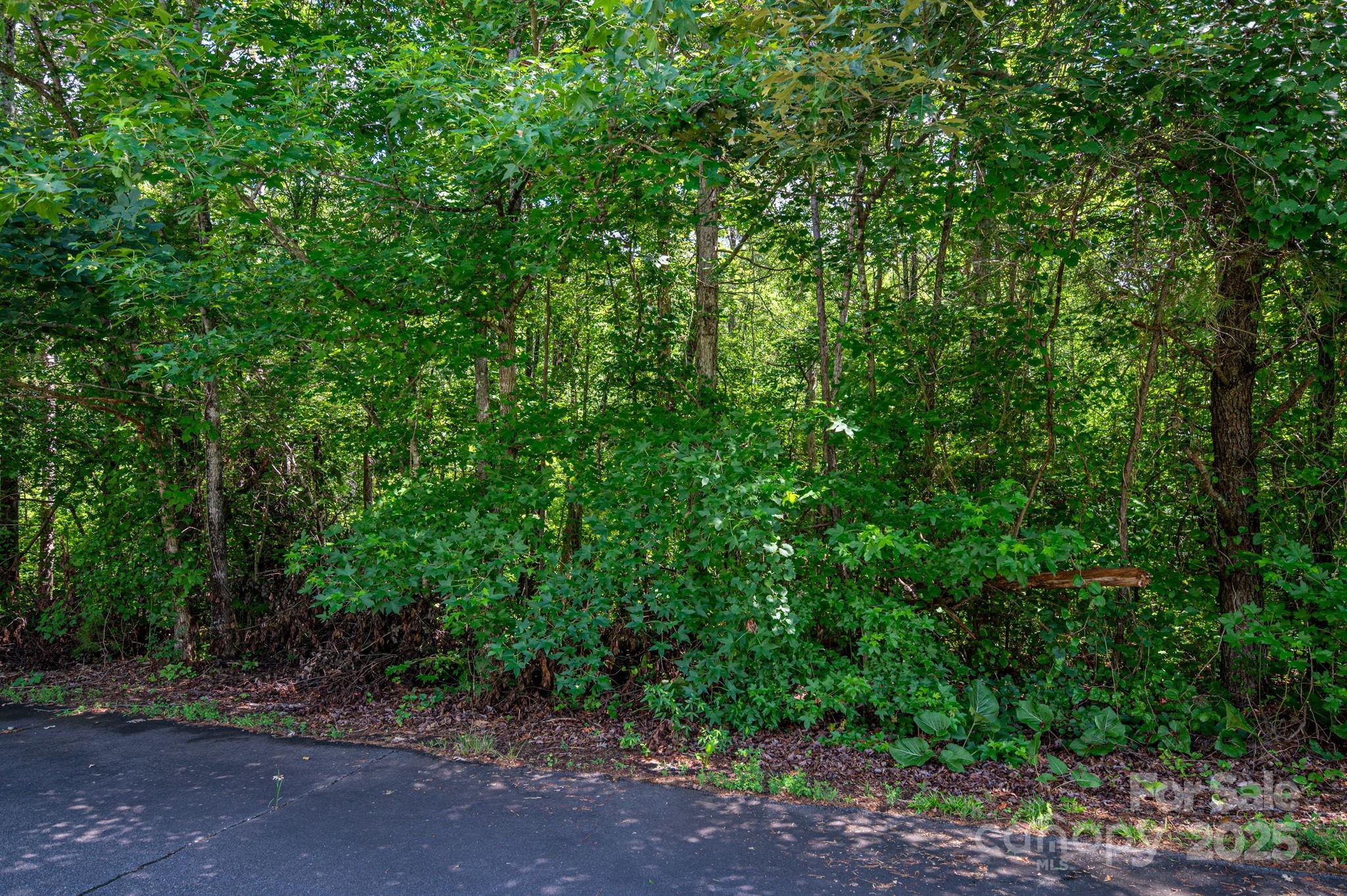 Lot 32 Line Drive Property Photo 1