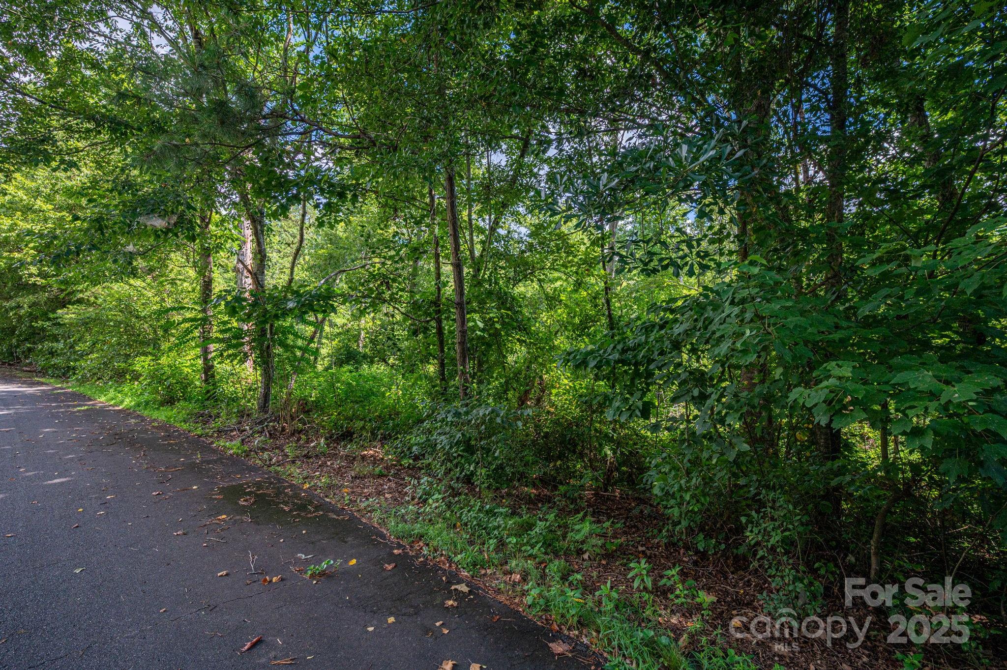 Lot 32 Line Drive Property Photo 5