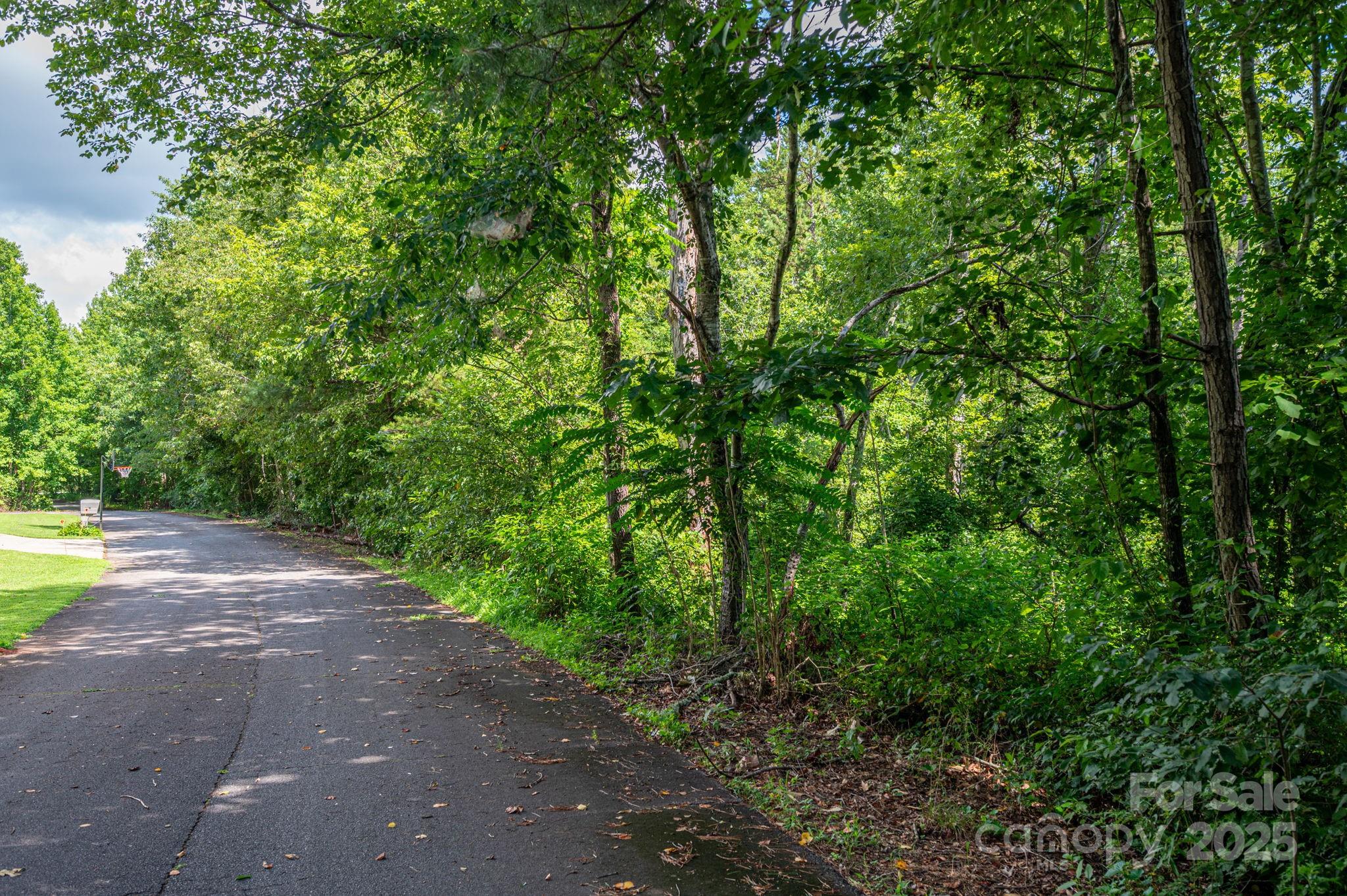 Lot 32 Line Drive Property Photo 6